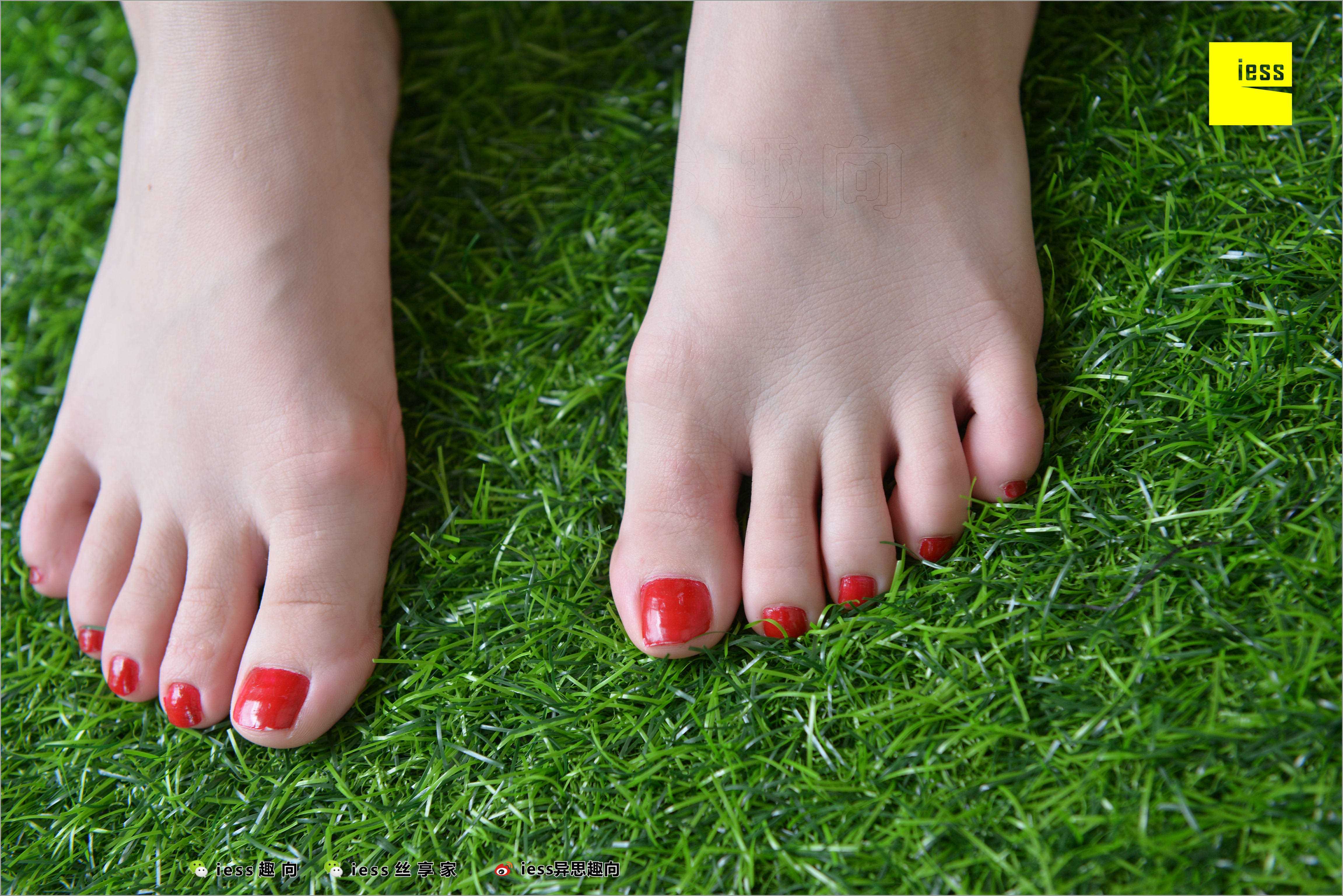 China Beauty Legs and feet 511