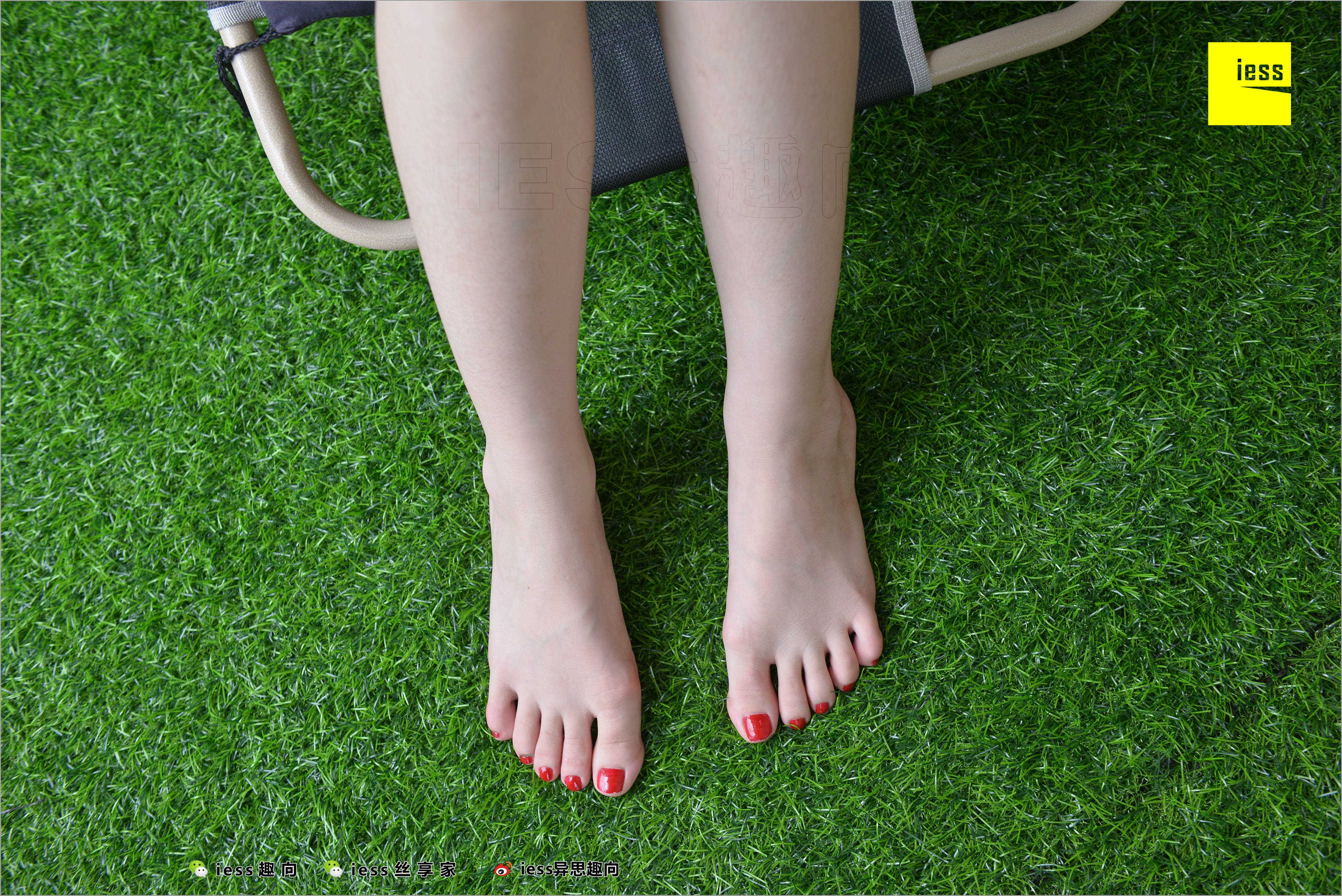 China Beauty Legs and feet 511