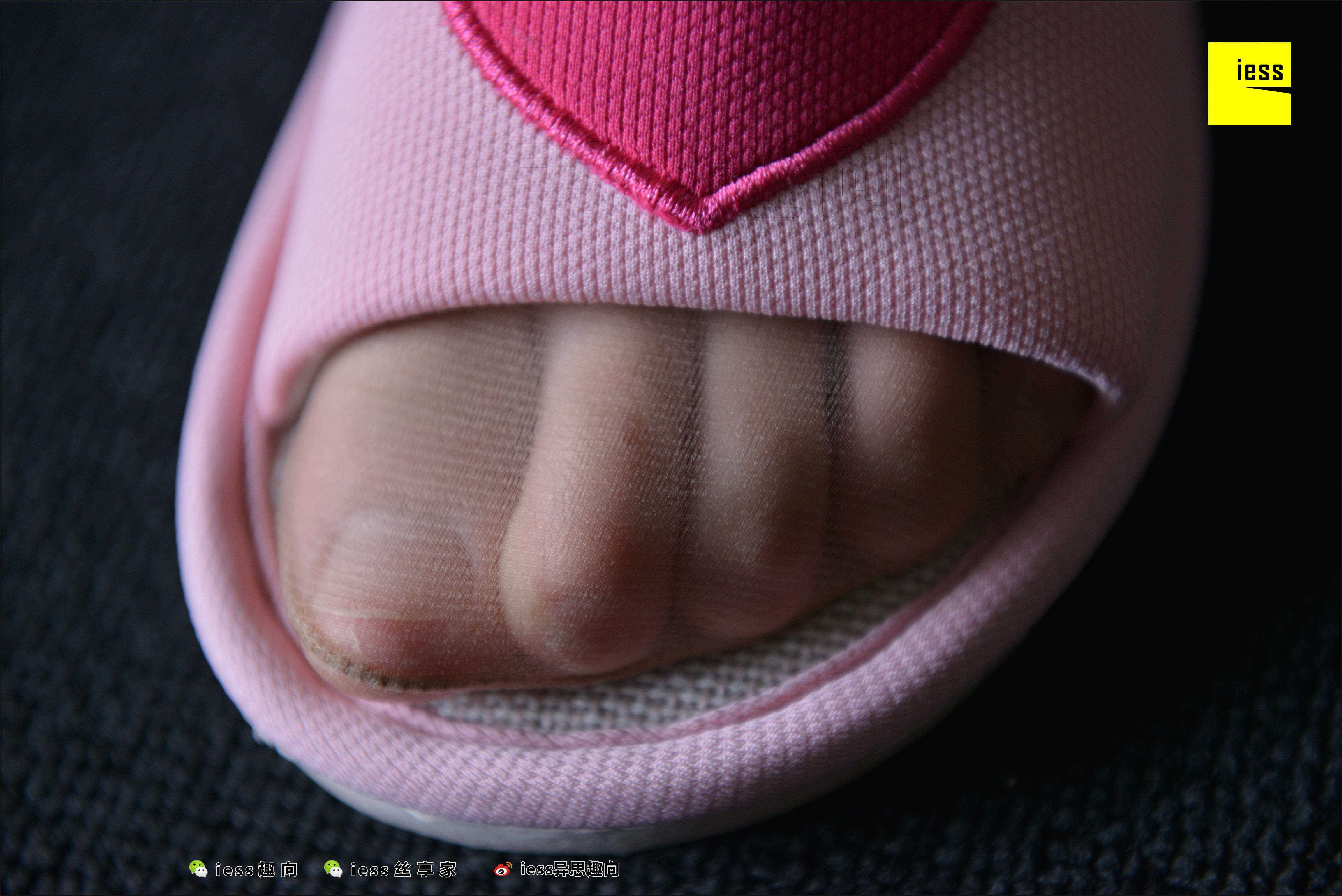 China Beauty Legs and feet 512