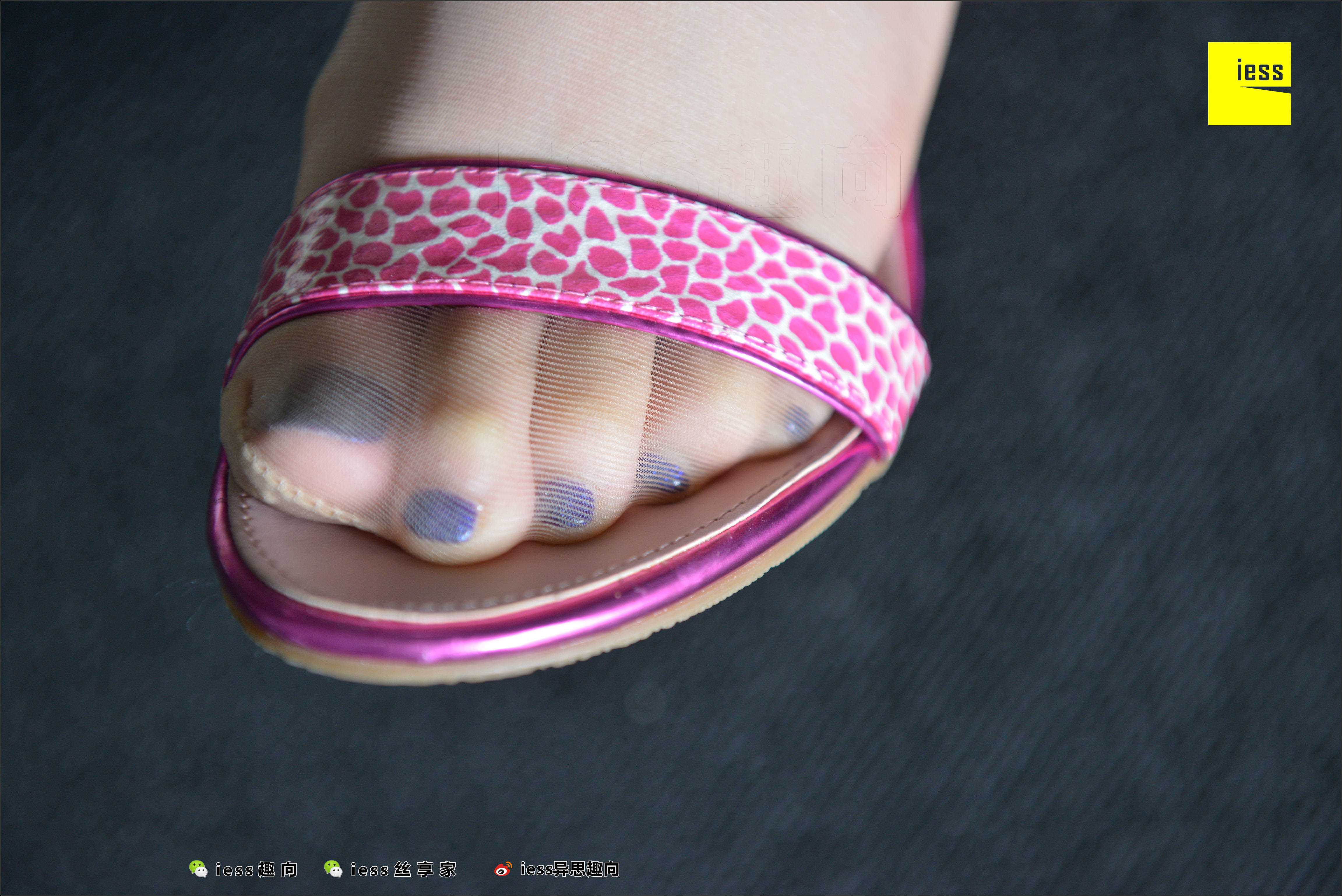 China Beauty Legs and feet 517