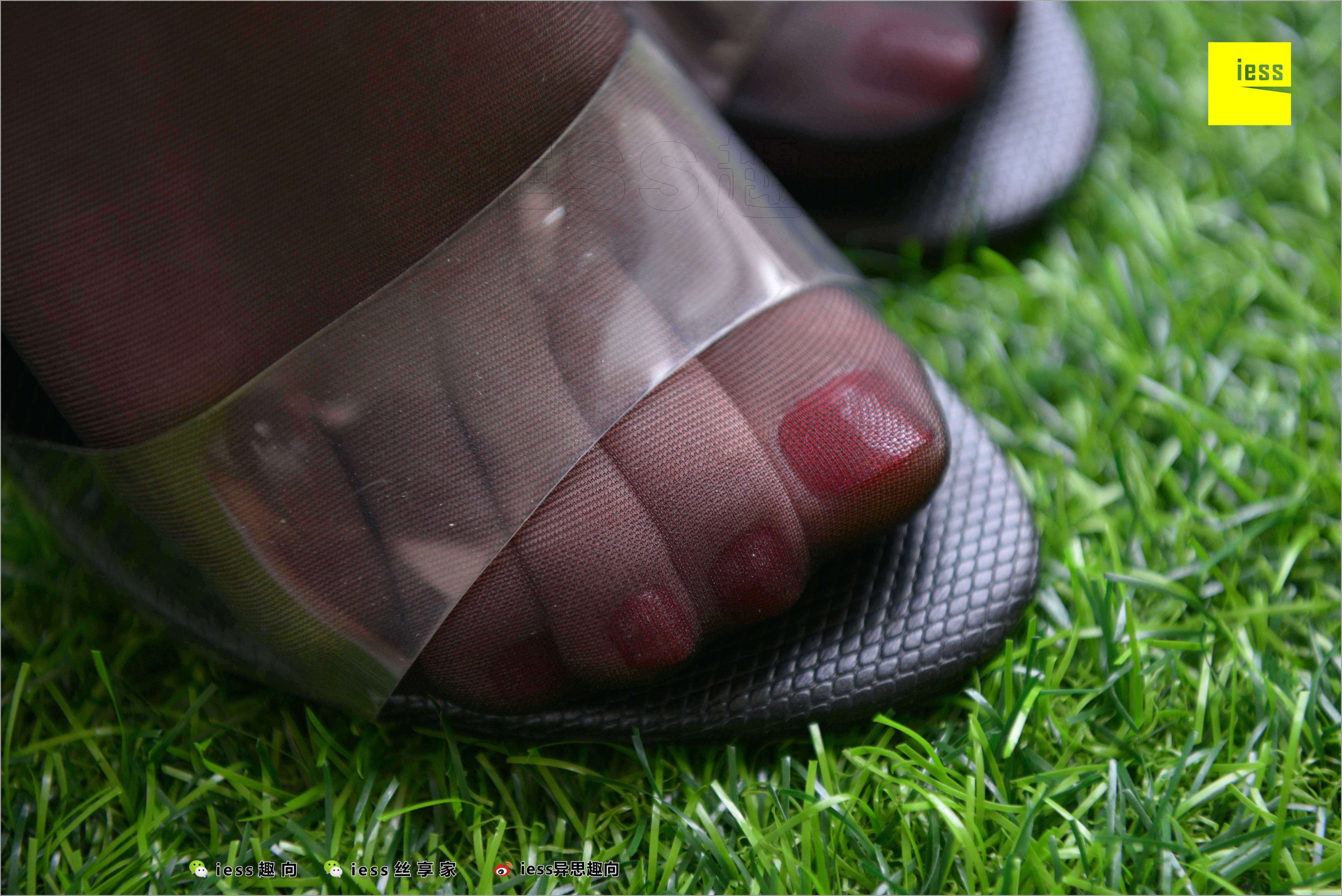 China Beauty Legs and feet 521