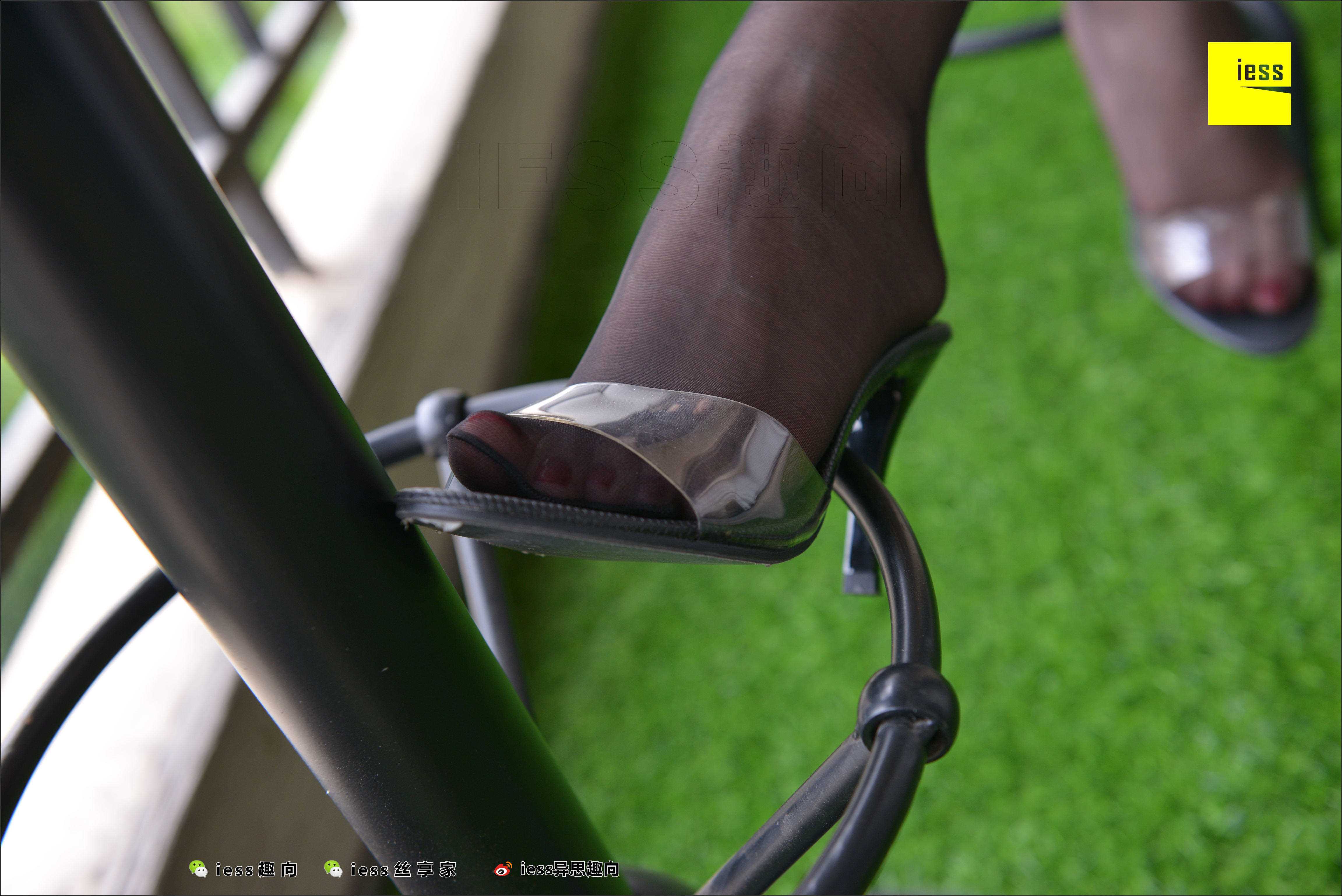 China Beauty Legs and feet 521