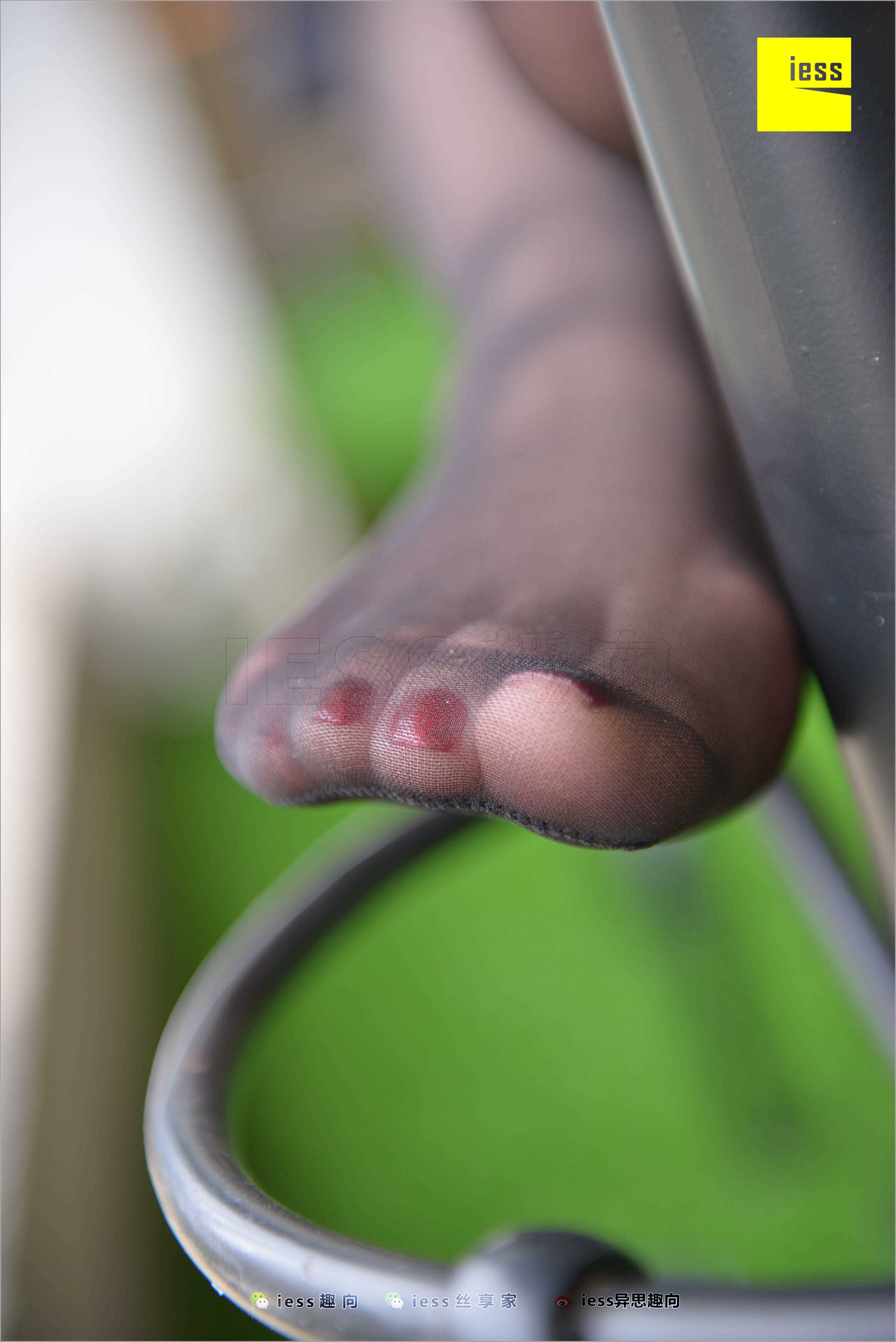 China Beauty Legs and feet 521