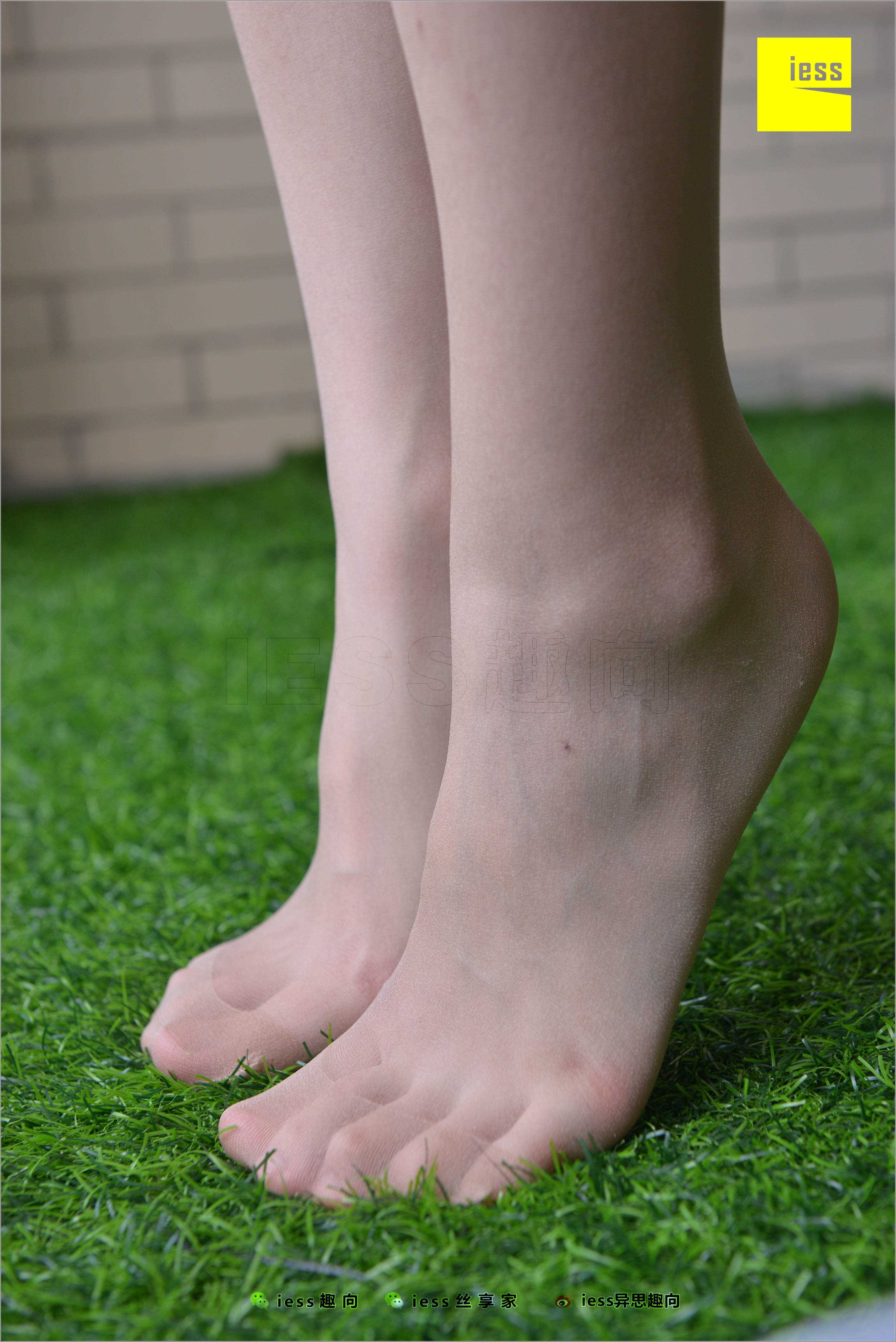 China Beauty Legs and feet 523