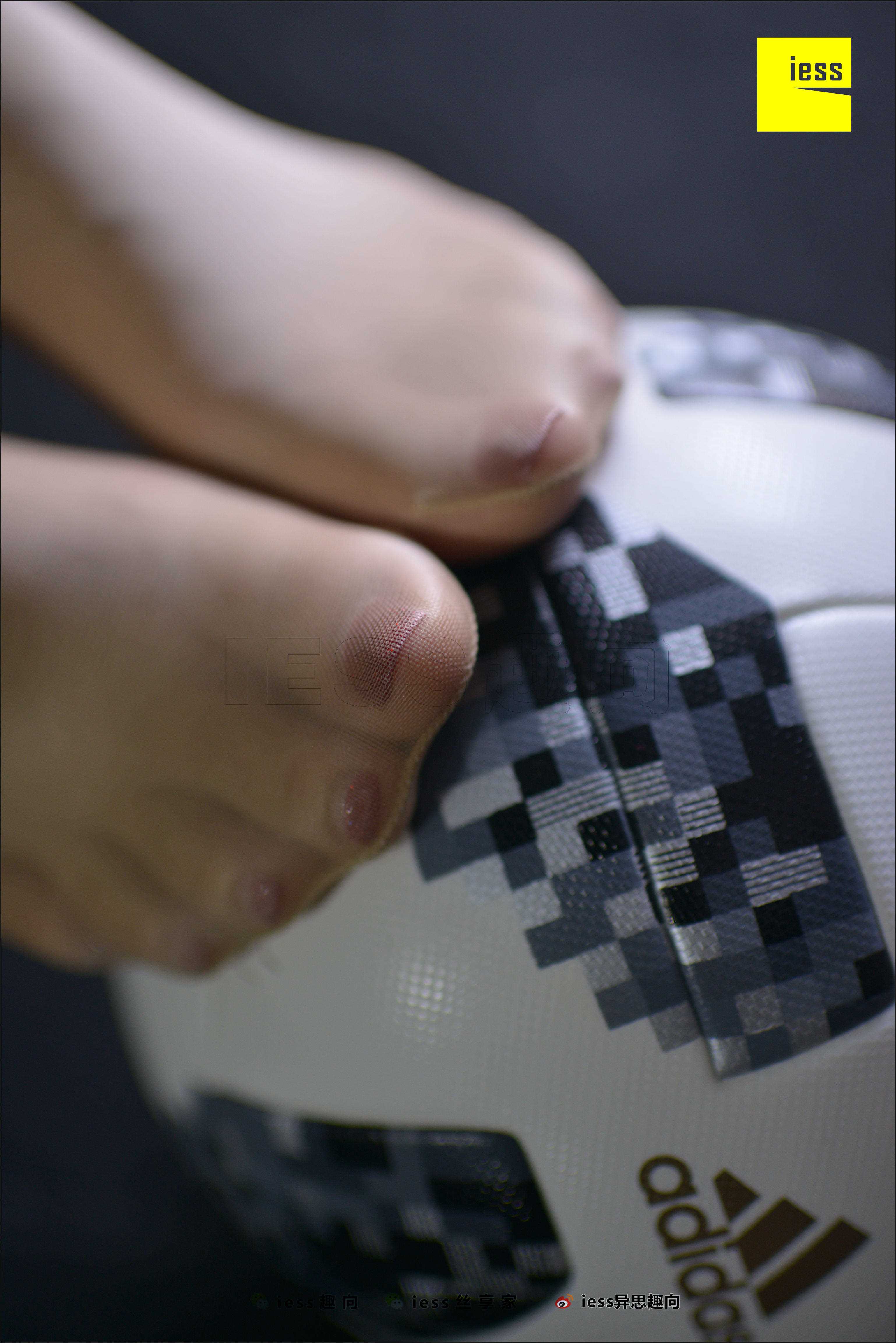 China Beauty Legs and feet 525