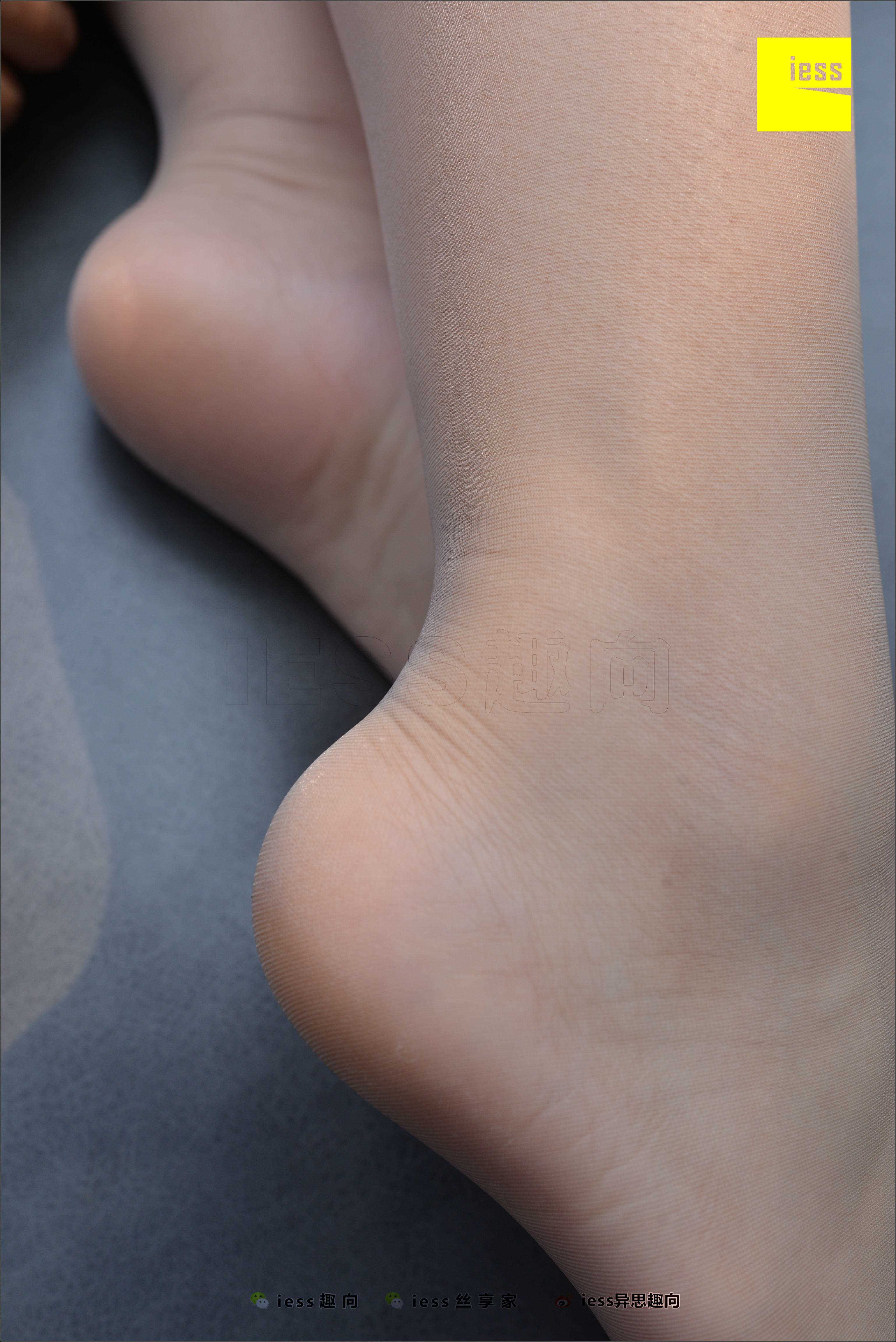 China Beauty Legs and feet 527