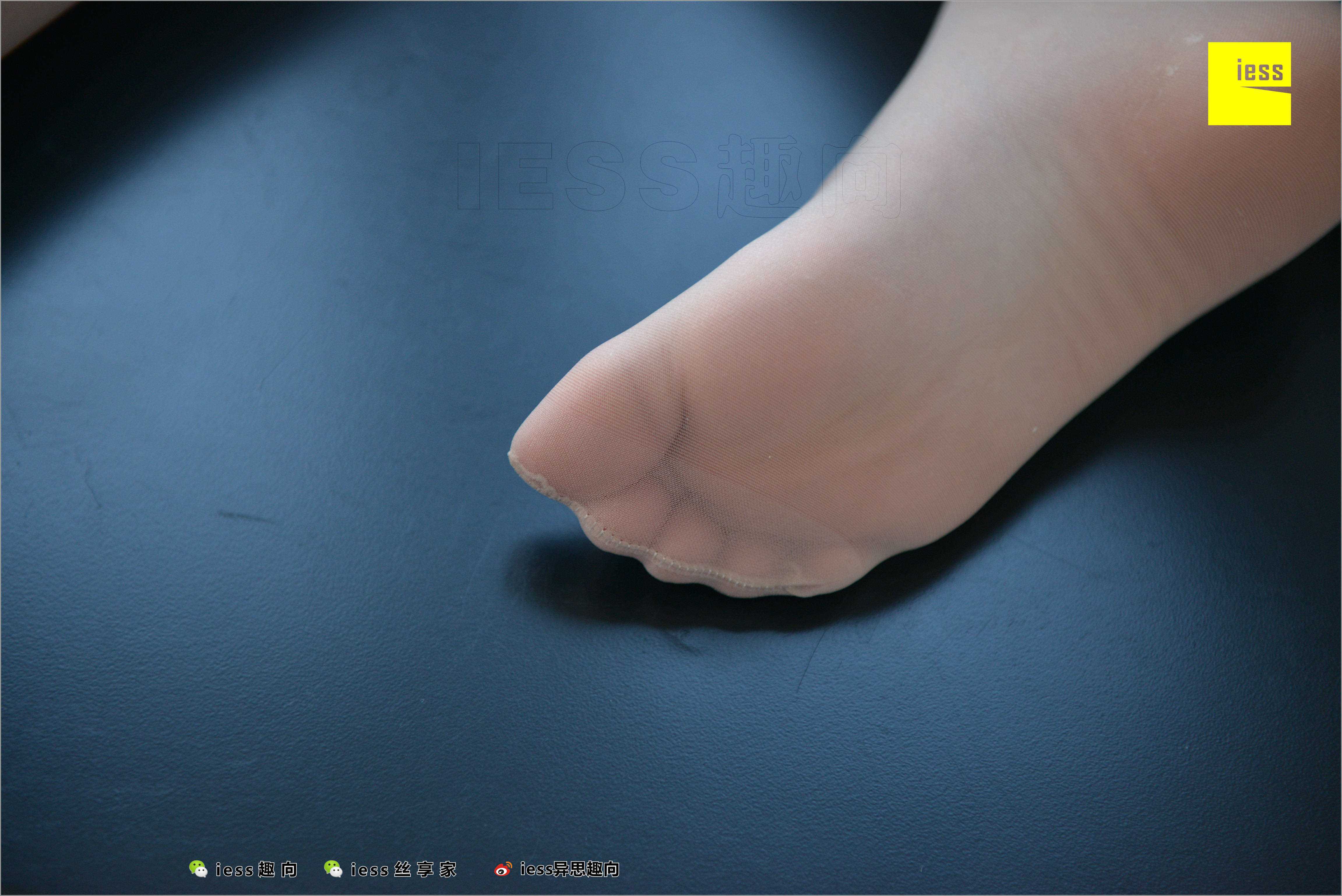 China Beauty Legs and feet 528