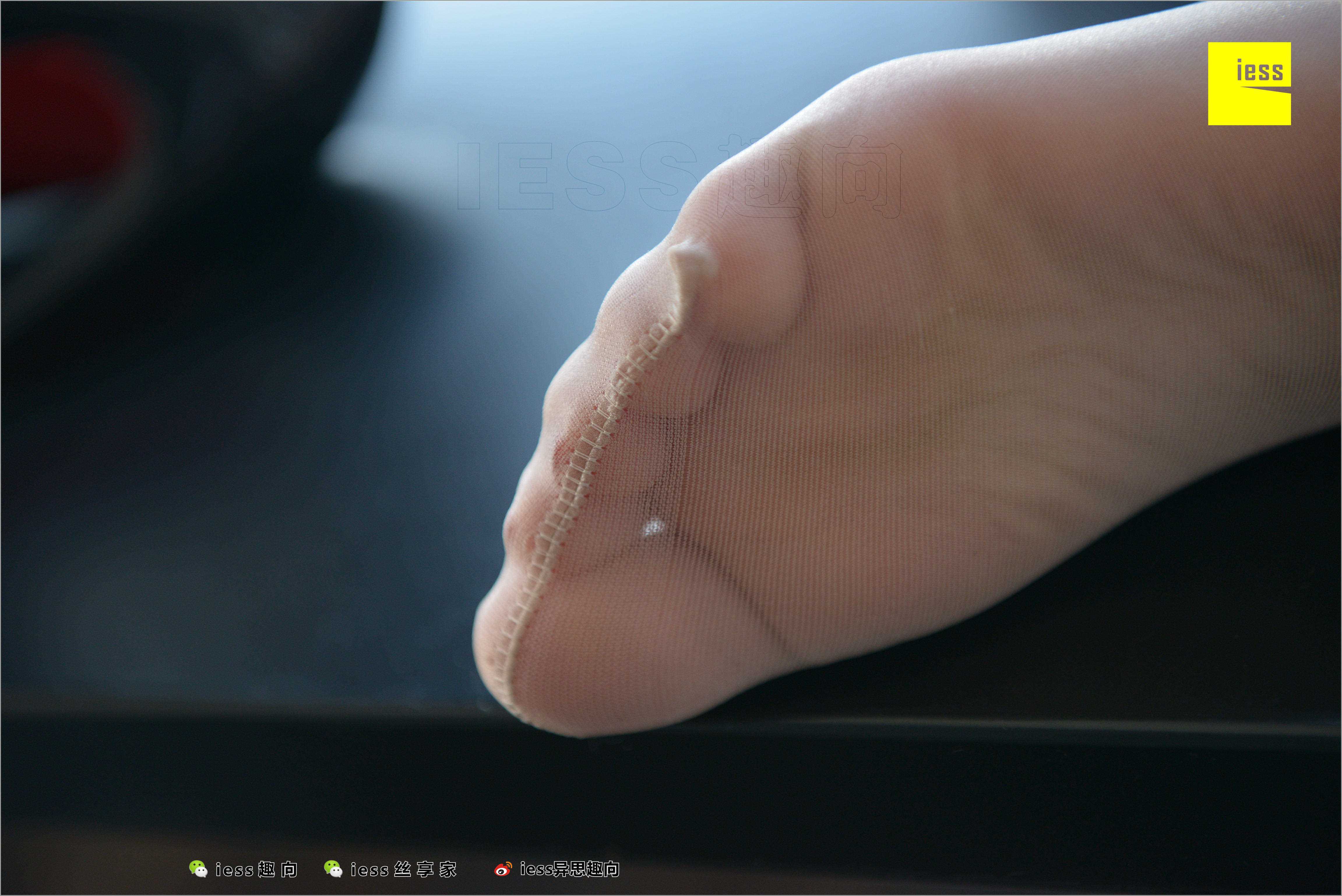 China Beauty Legs and feet 528