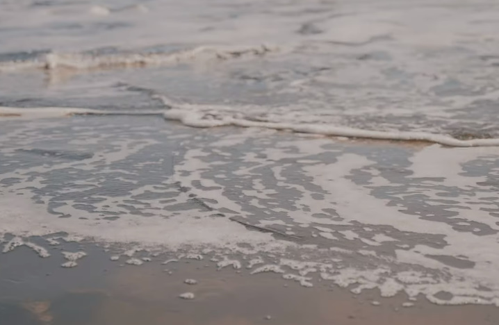 Great best body Babes 81