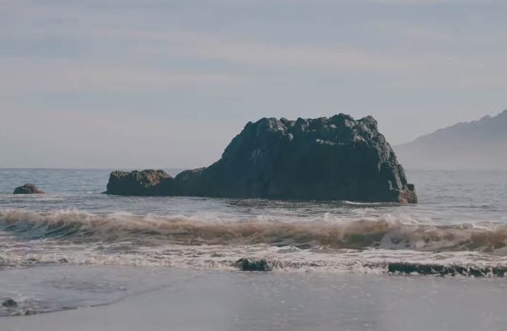 Great best body Babes 81