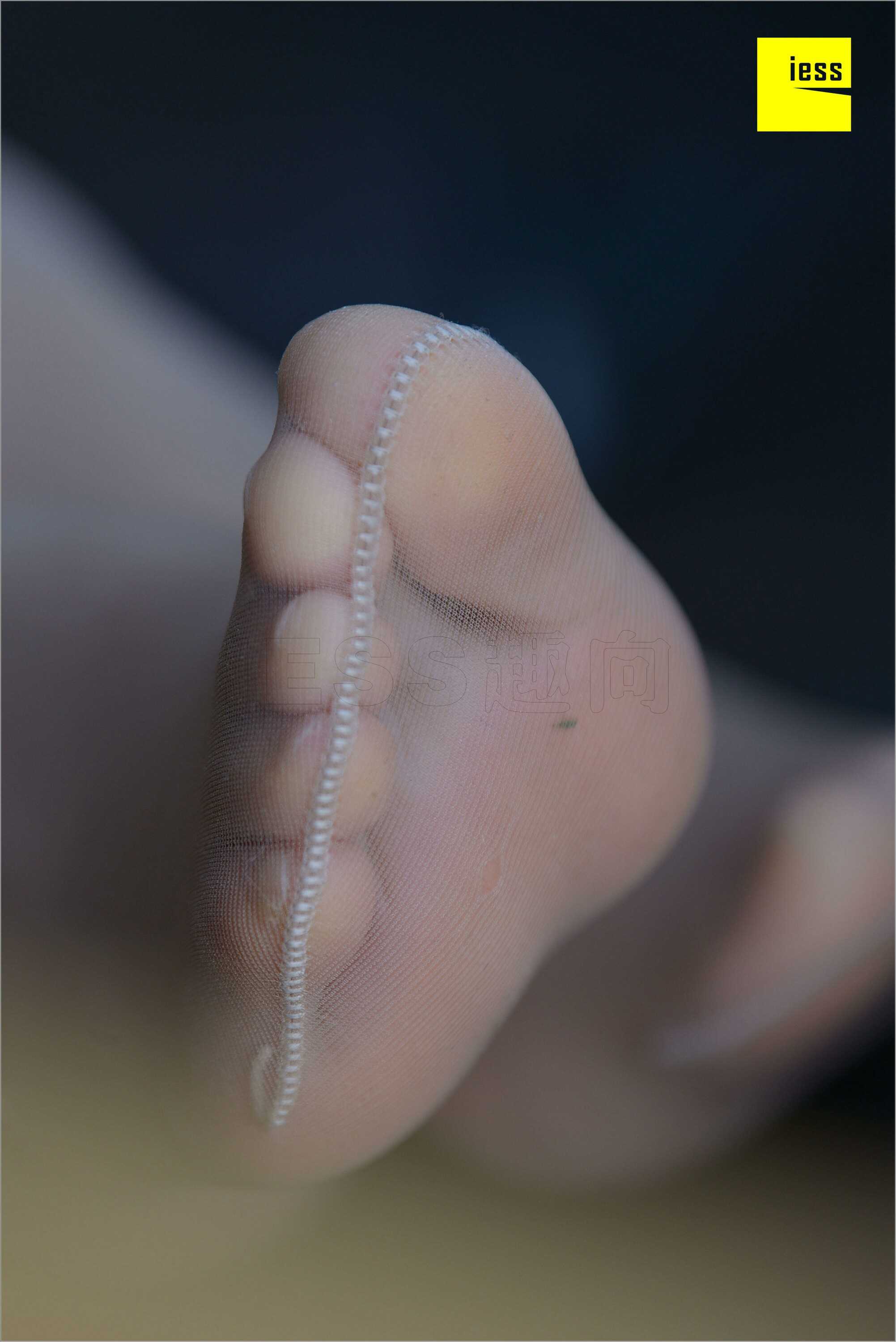 China Beauty Legs and feet 534