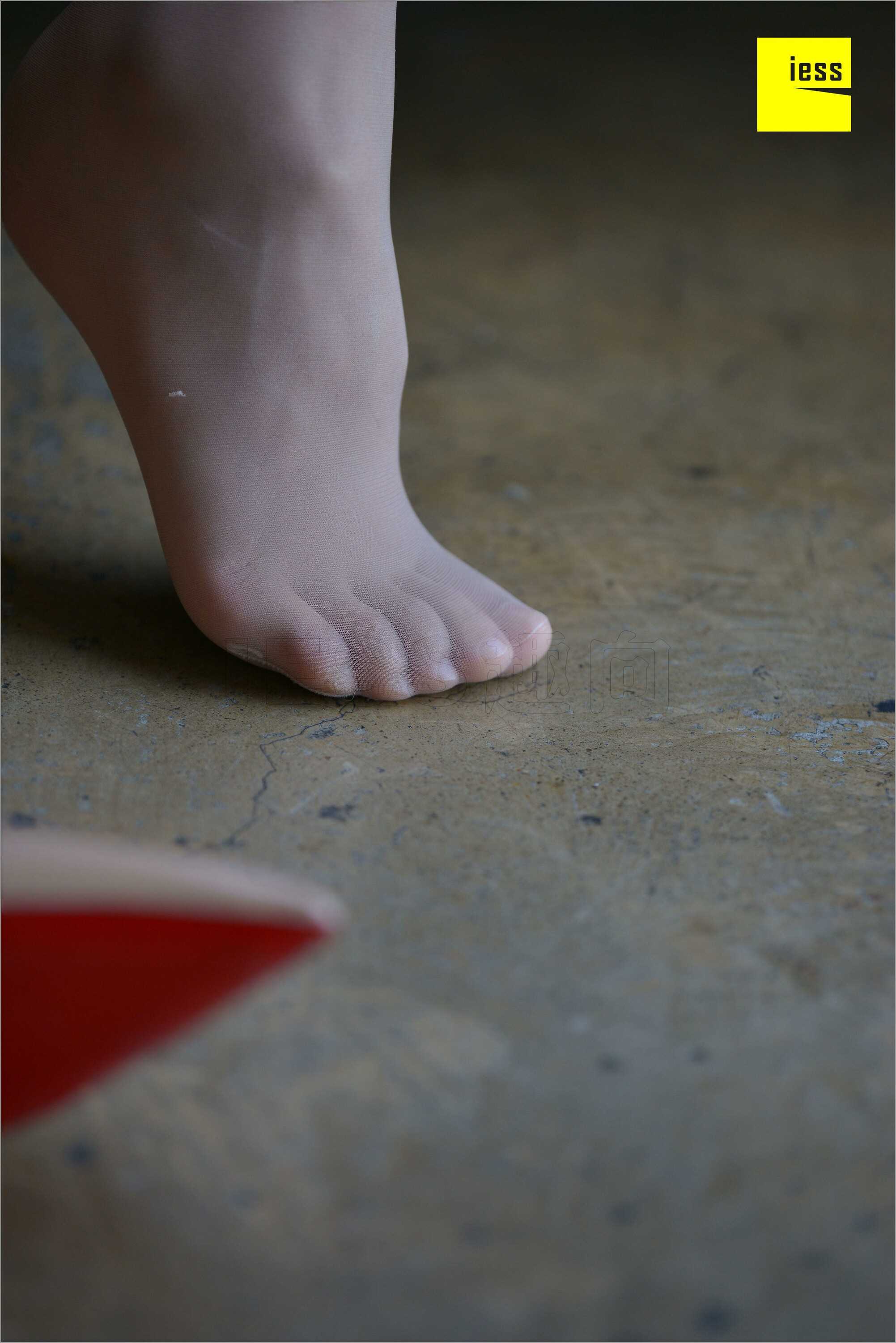 China Beauty Legs and feet 534