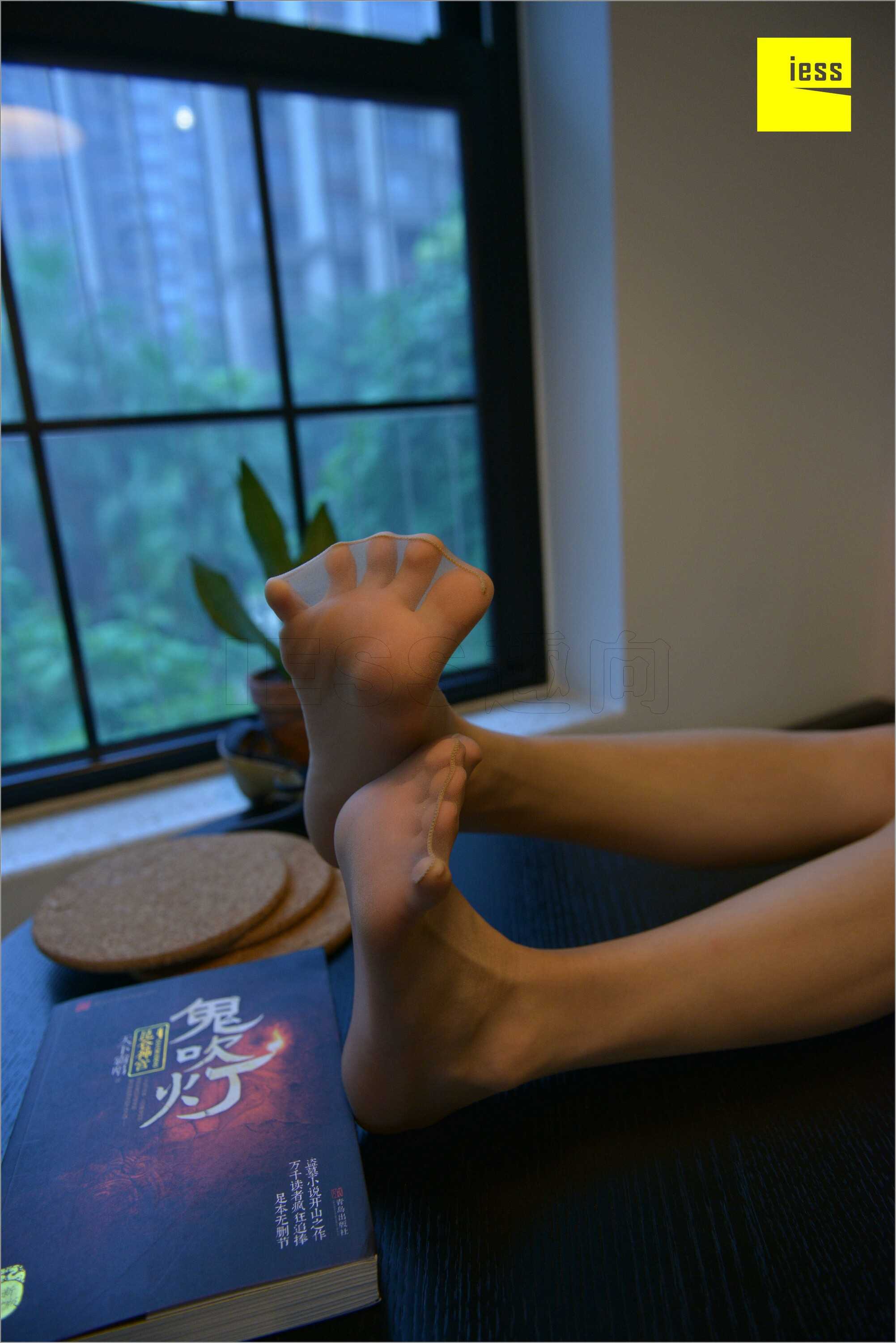 China Beauty Legs and feet 535