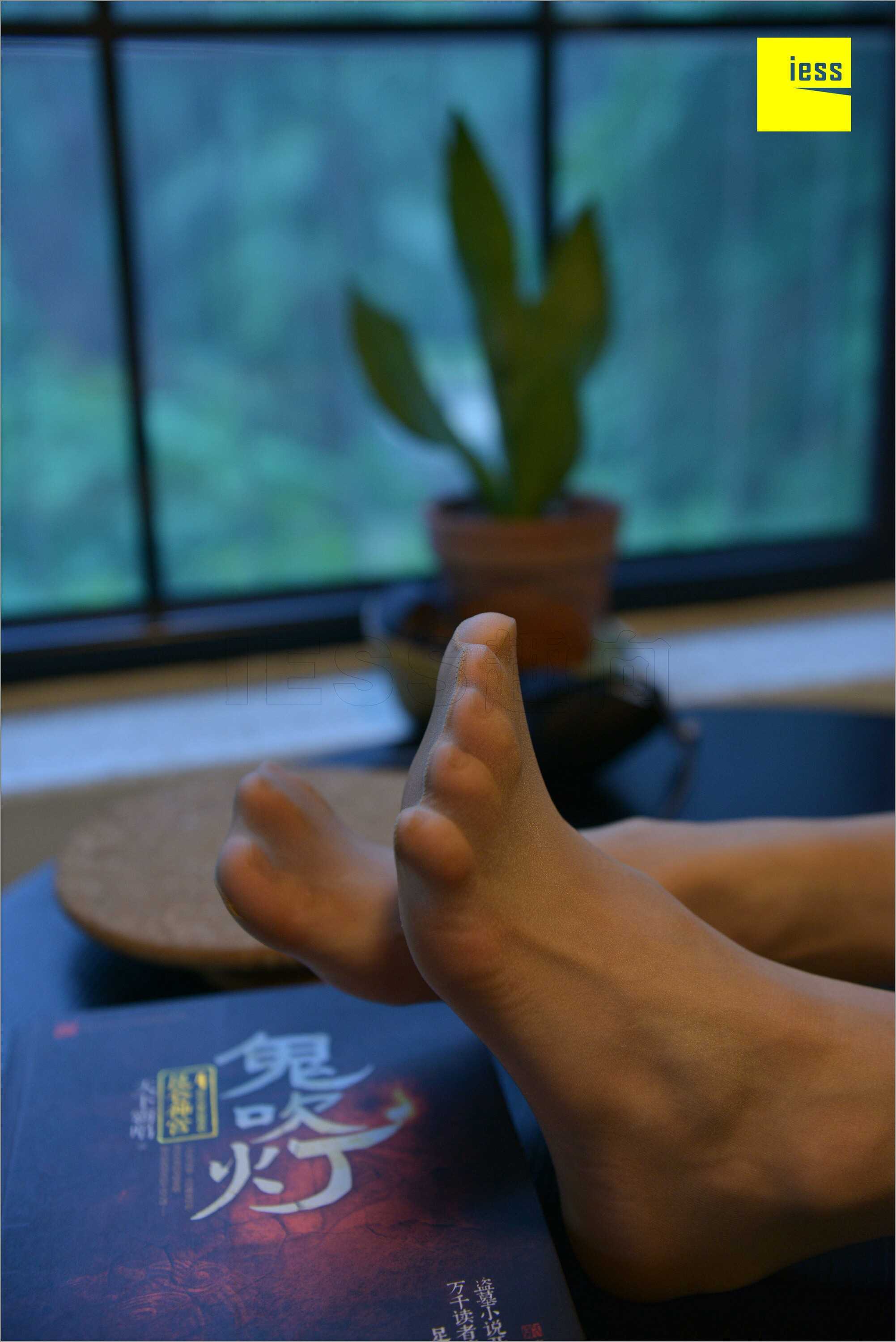 China Beauty Legs and feet 535