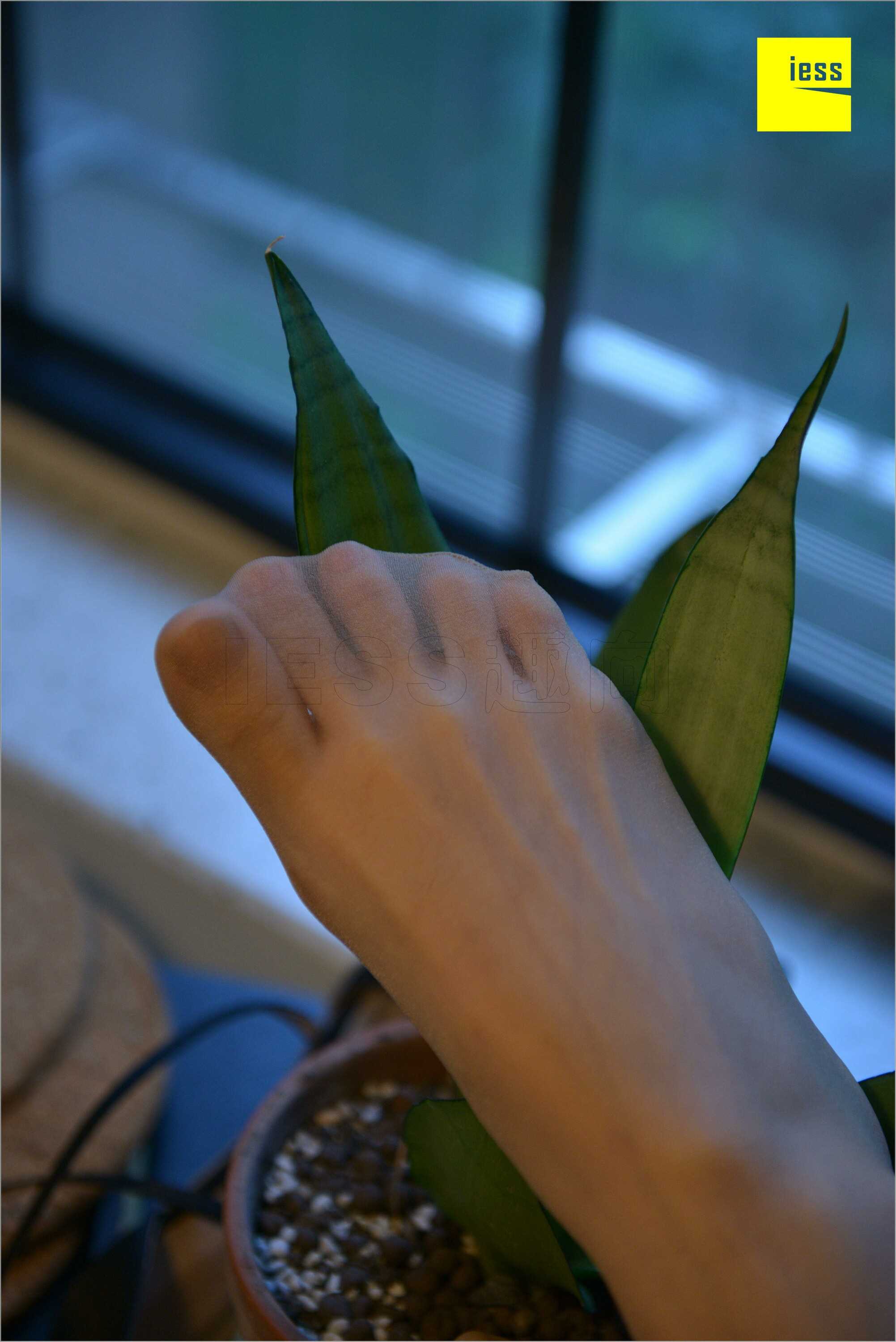 China Beauty Legs and feet 535