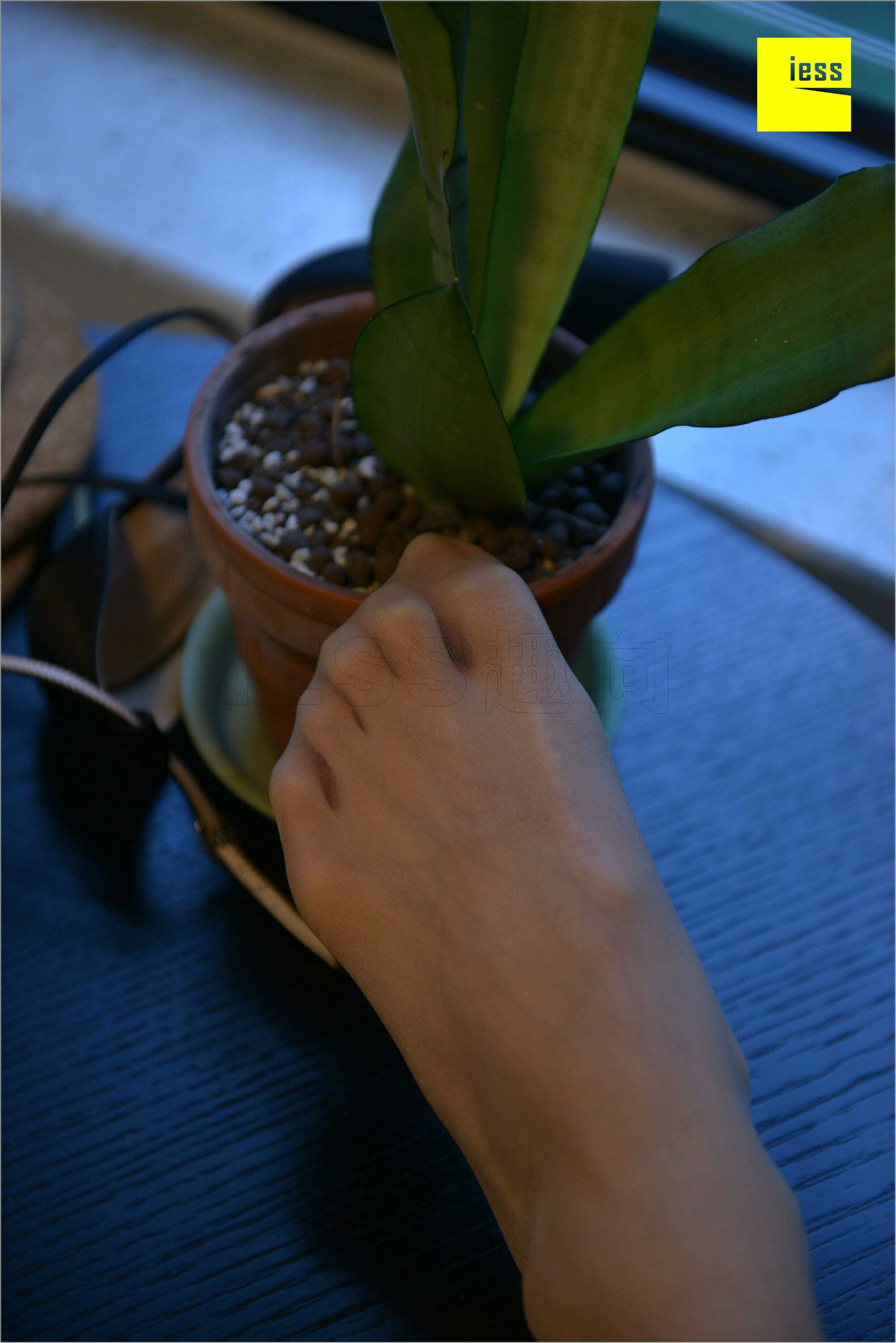 China Beauty Legs and feet 535