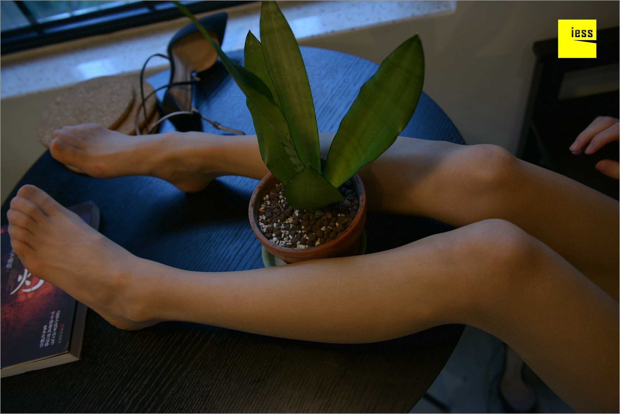 China Beauty Legs and feet 535