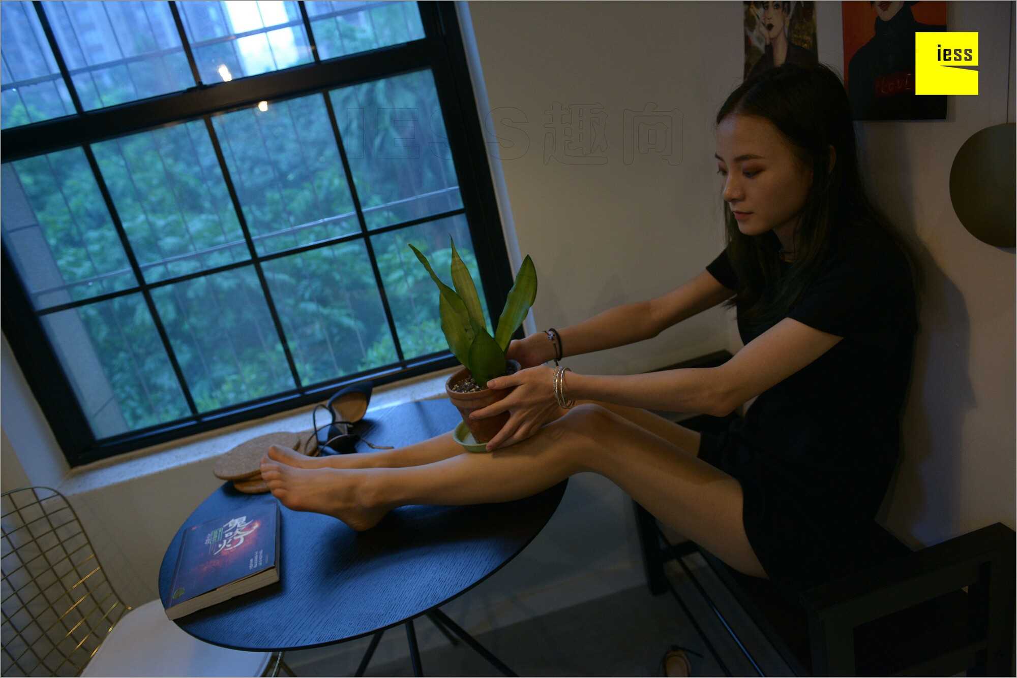 China Beauty Legs and feet 535