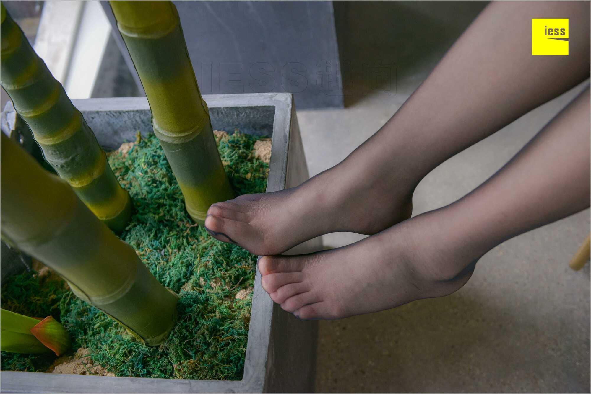 China Beauty Legs and feet 537