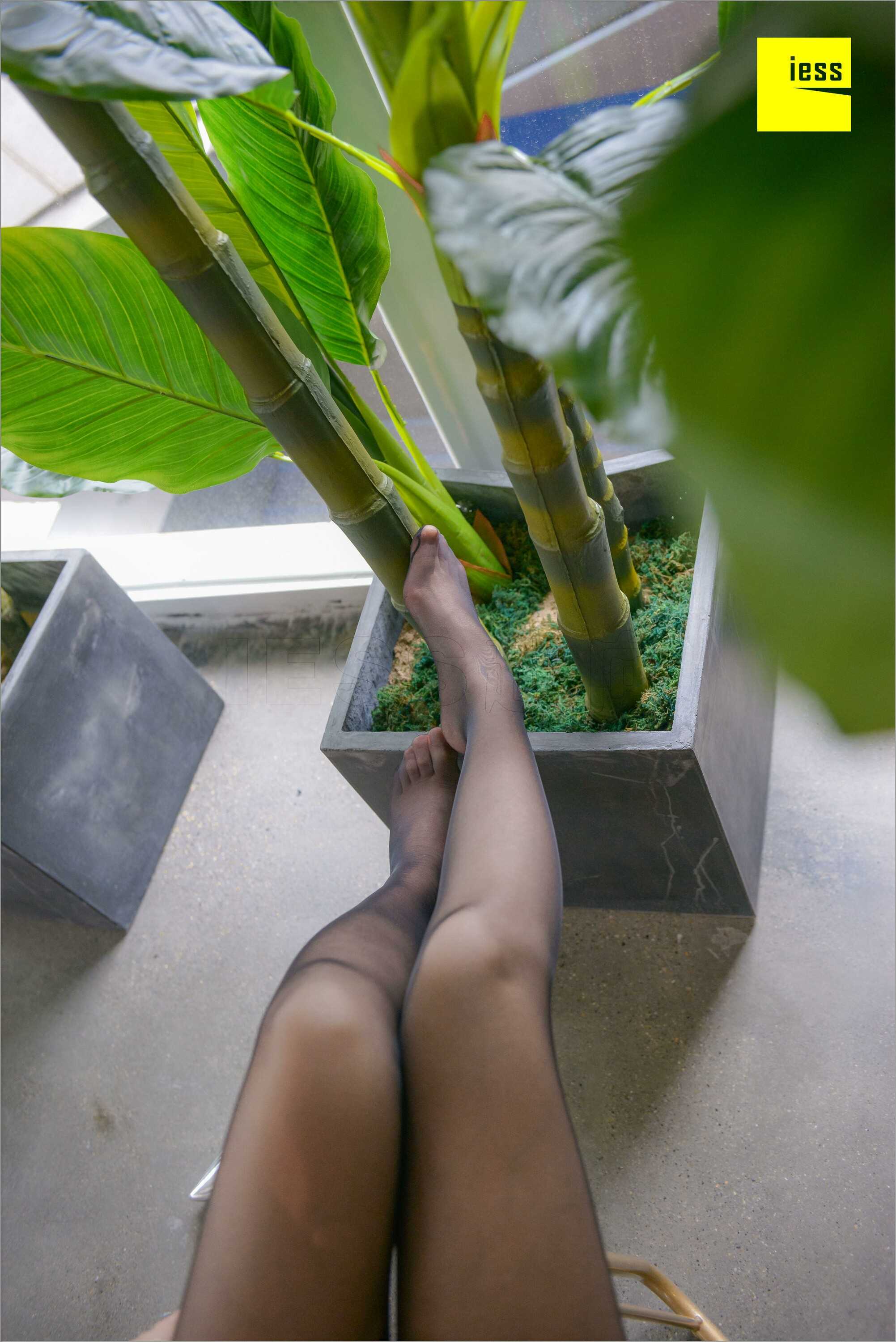 China Beauty Legs and feet 537