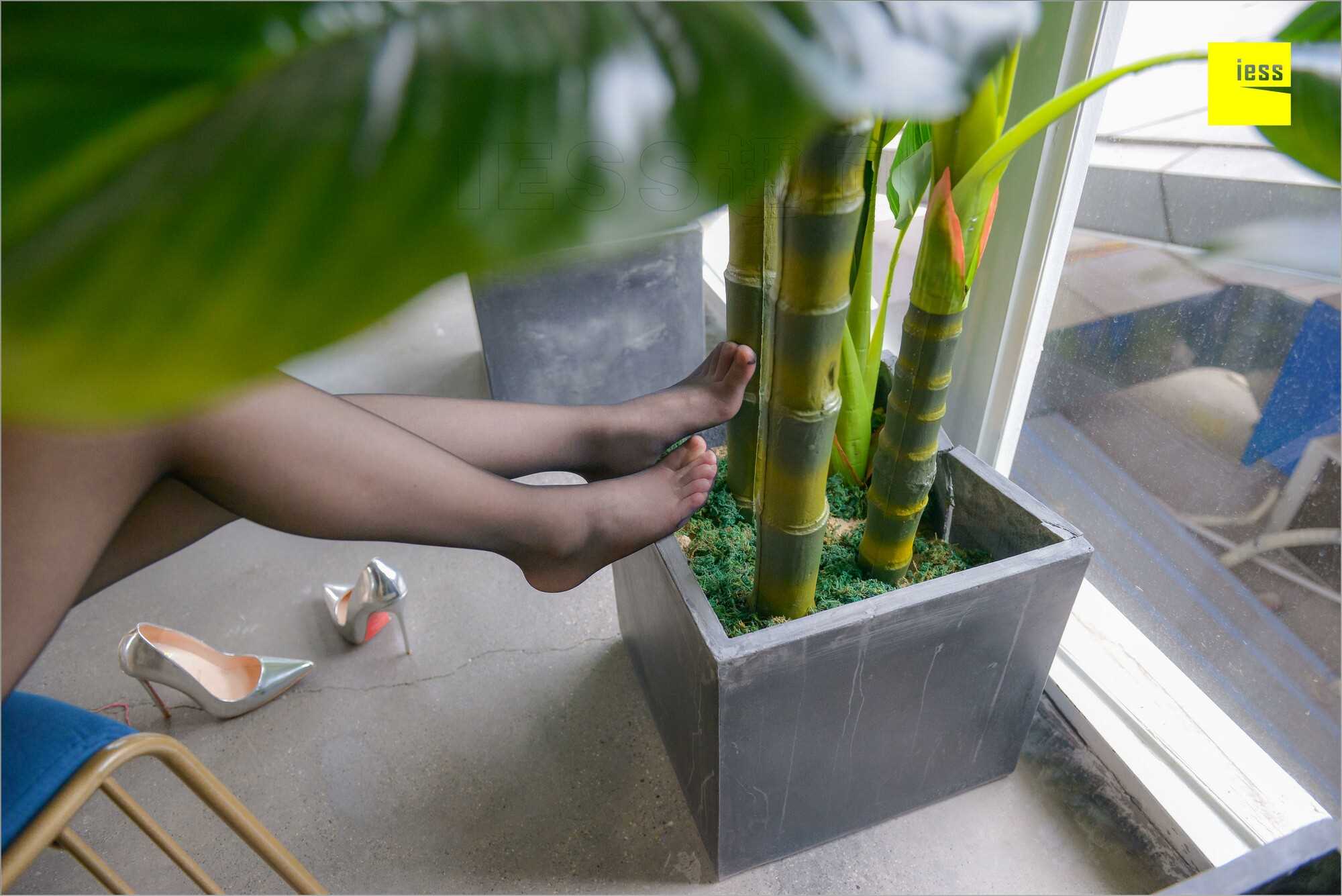 China Beauty Legs and feet 537