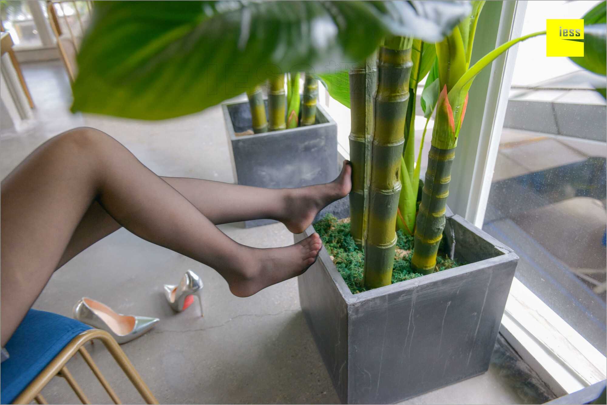 China Beauty Legs and feet 537