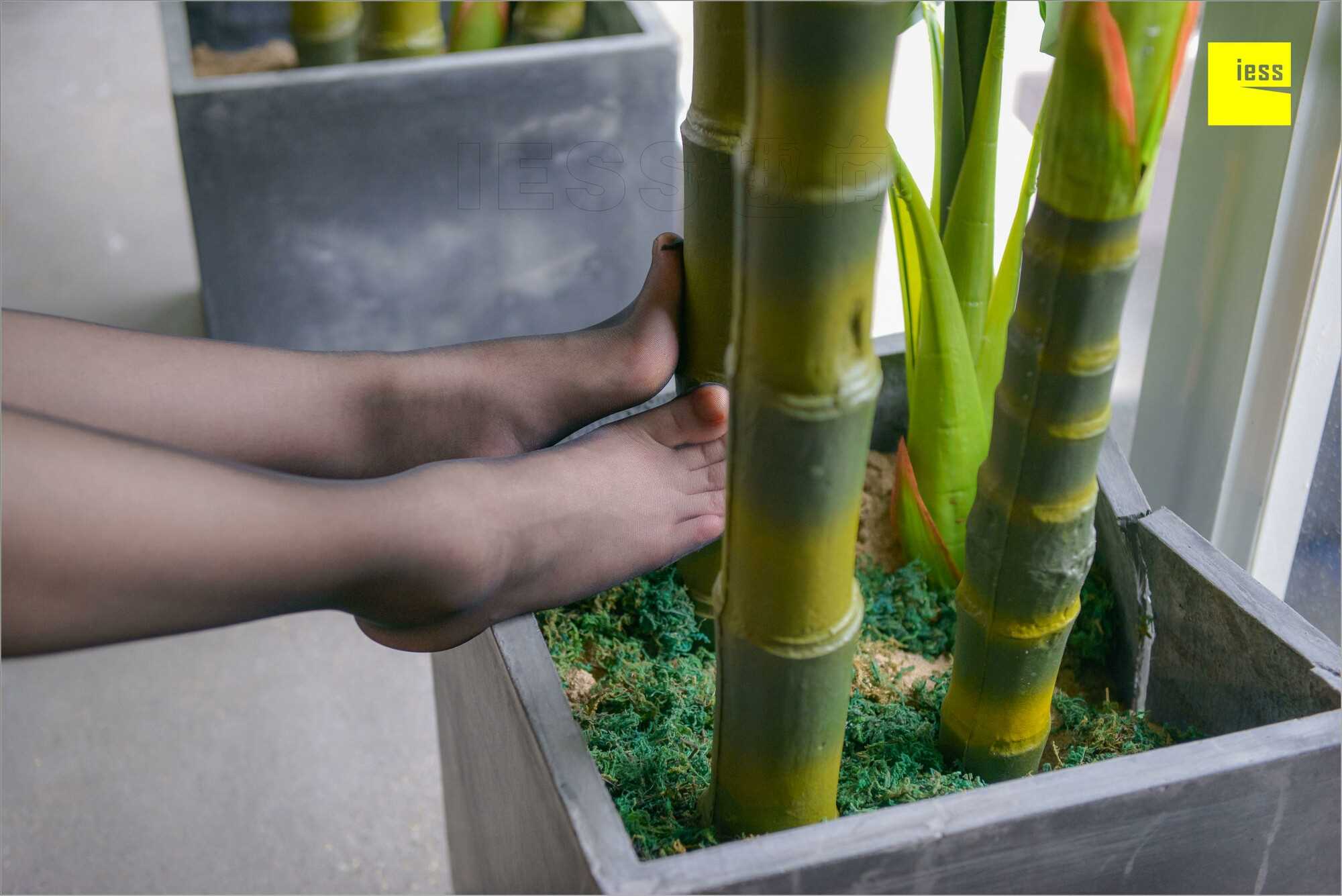 China Beauty Legs and feet 537