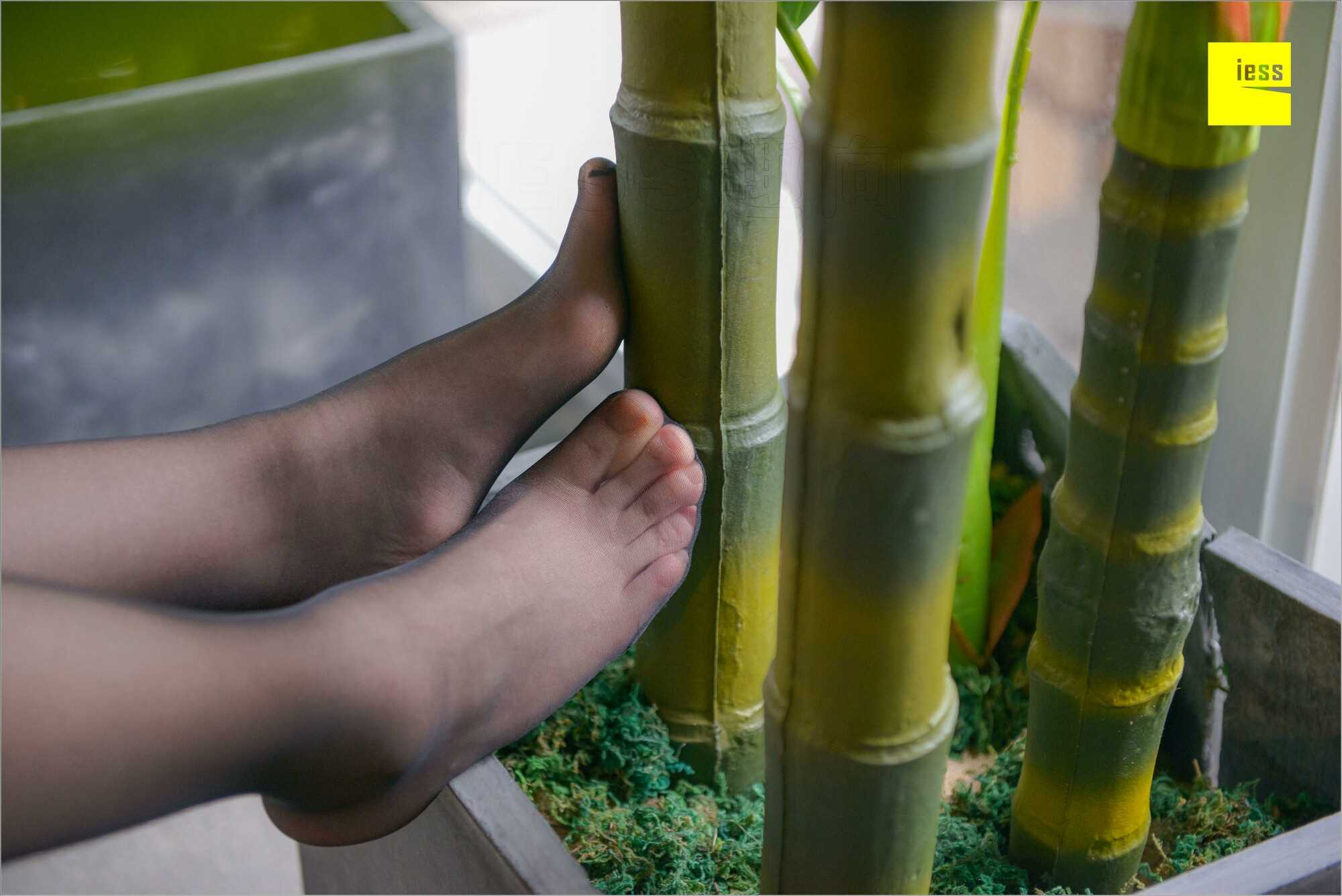 China Beauty Legs and feet 537