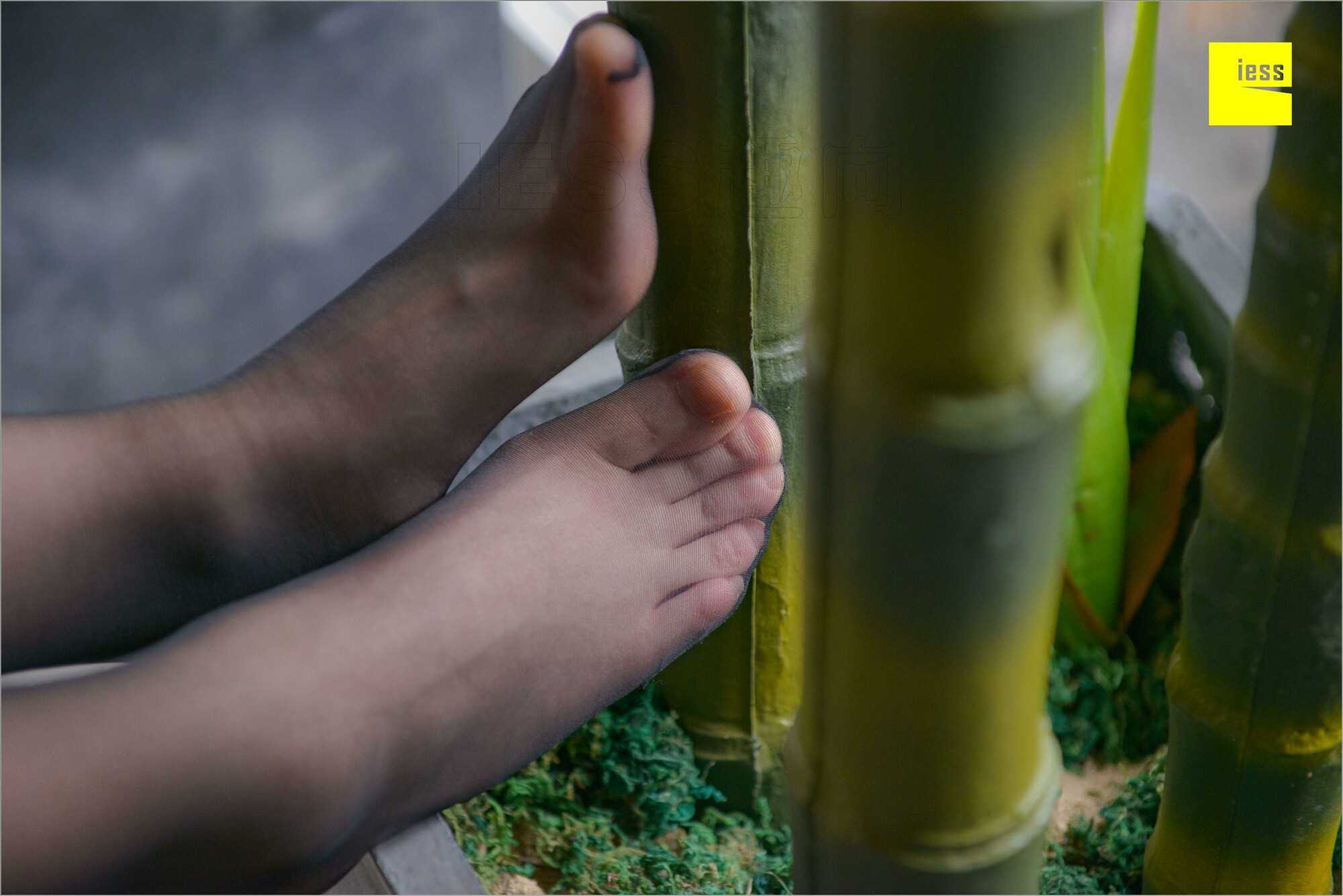 China Beauty Legs and feet 537