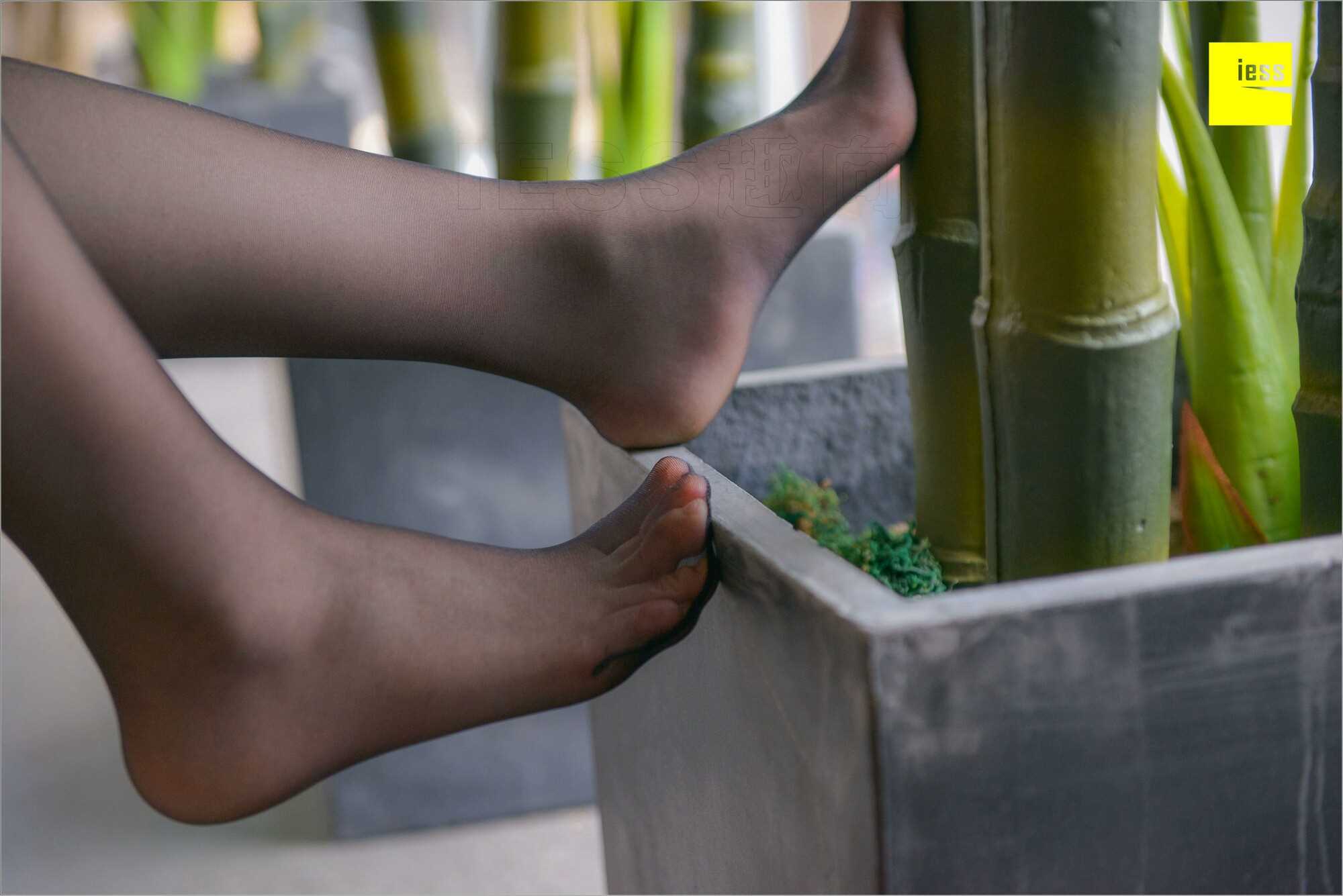 China Beauty Legs and feet 537