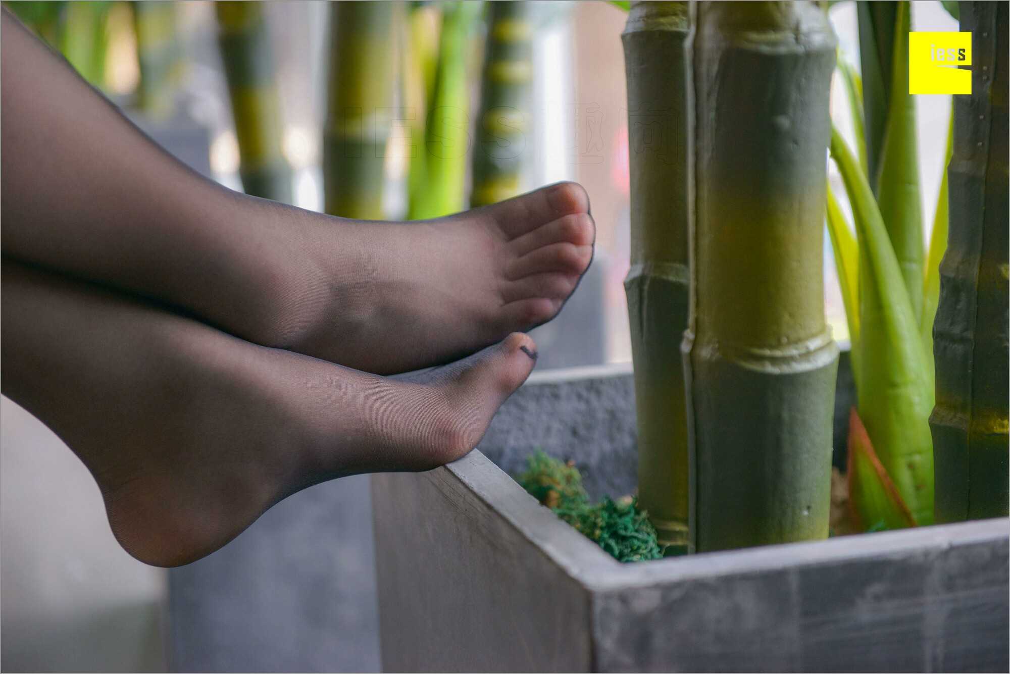 China Beauty Legs and feet 537