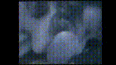 (XXX) Naughty MILF 100% XXXposure