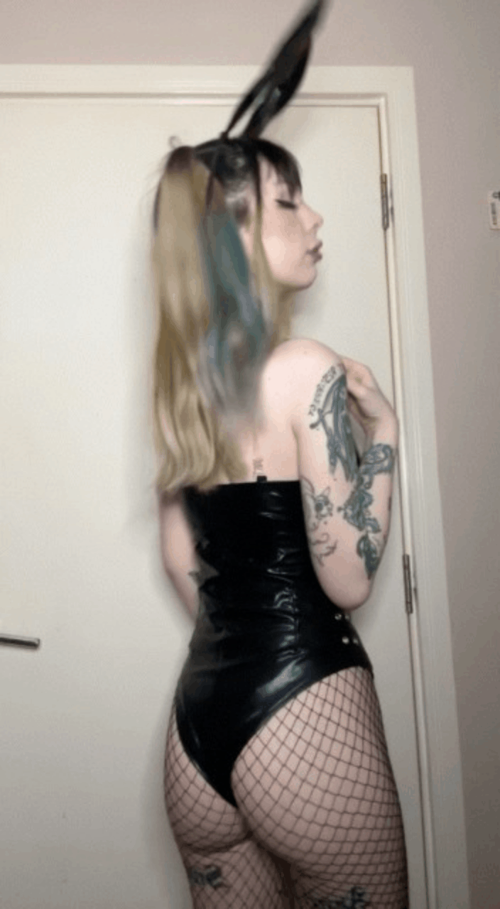 The Sexy Bunnies Collection (2024)