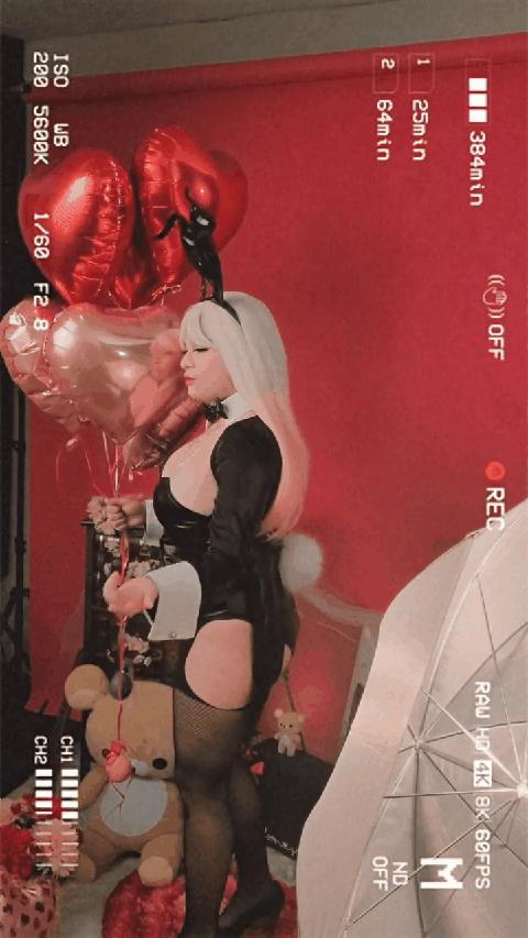 The Sexy Bunnies Collection (2024)