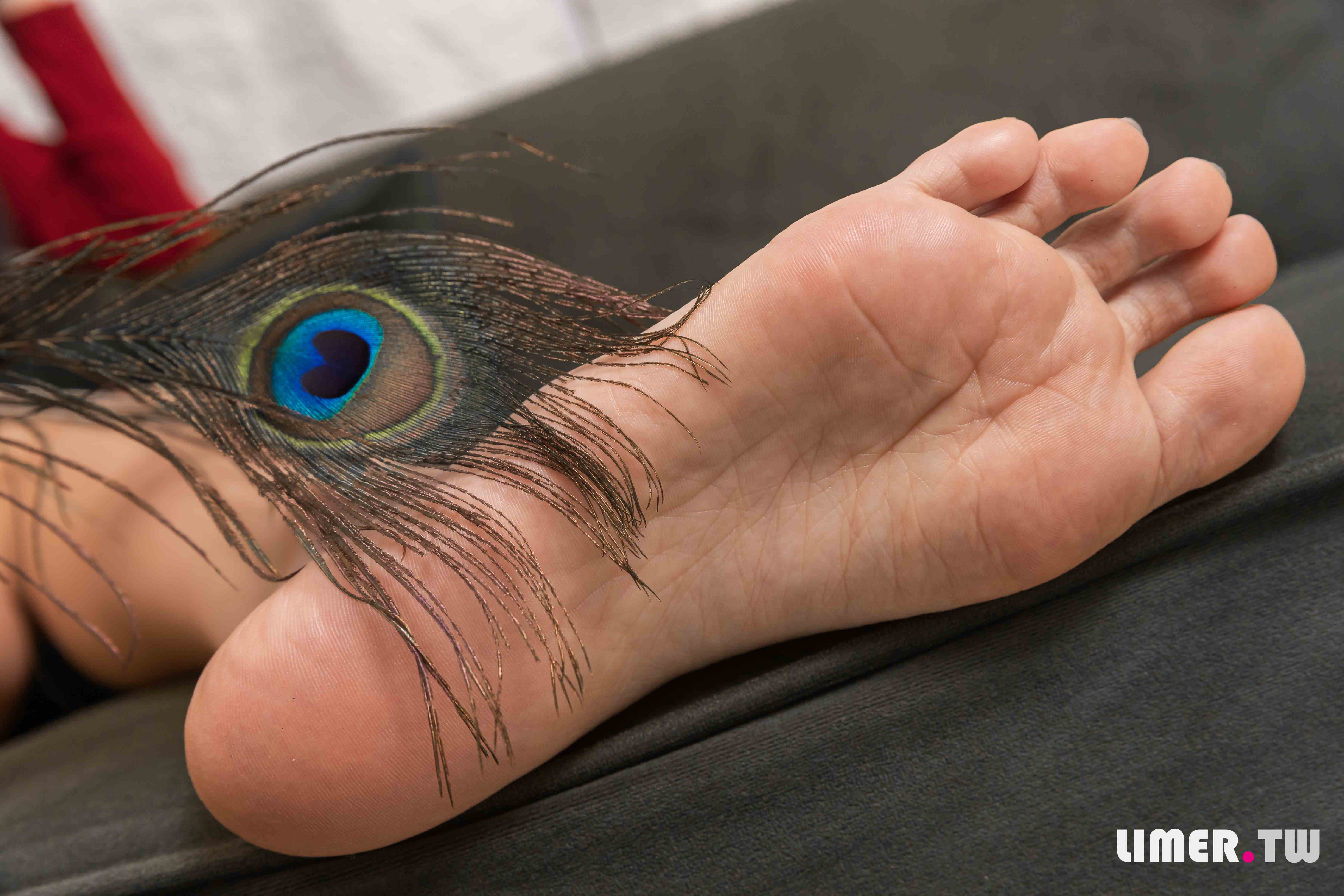 China Beauty Legs and feet 543