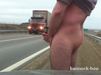 Random GIFs  blowjobs cumshots anal