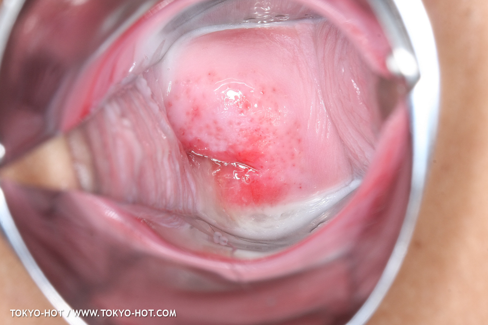 JPN_Tokyo_Hot_N1199_!shiho_h@r@d@