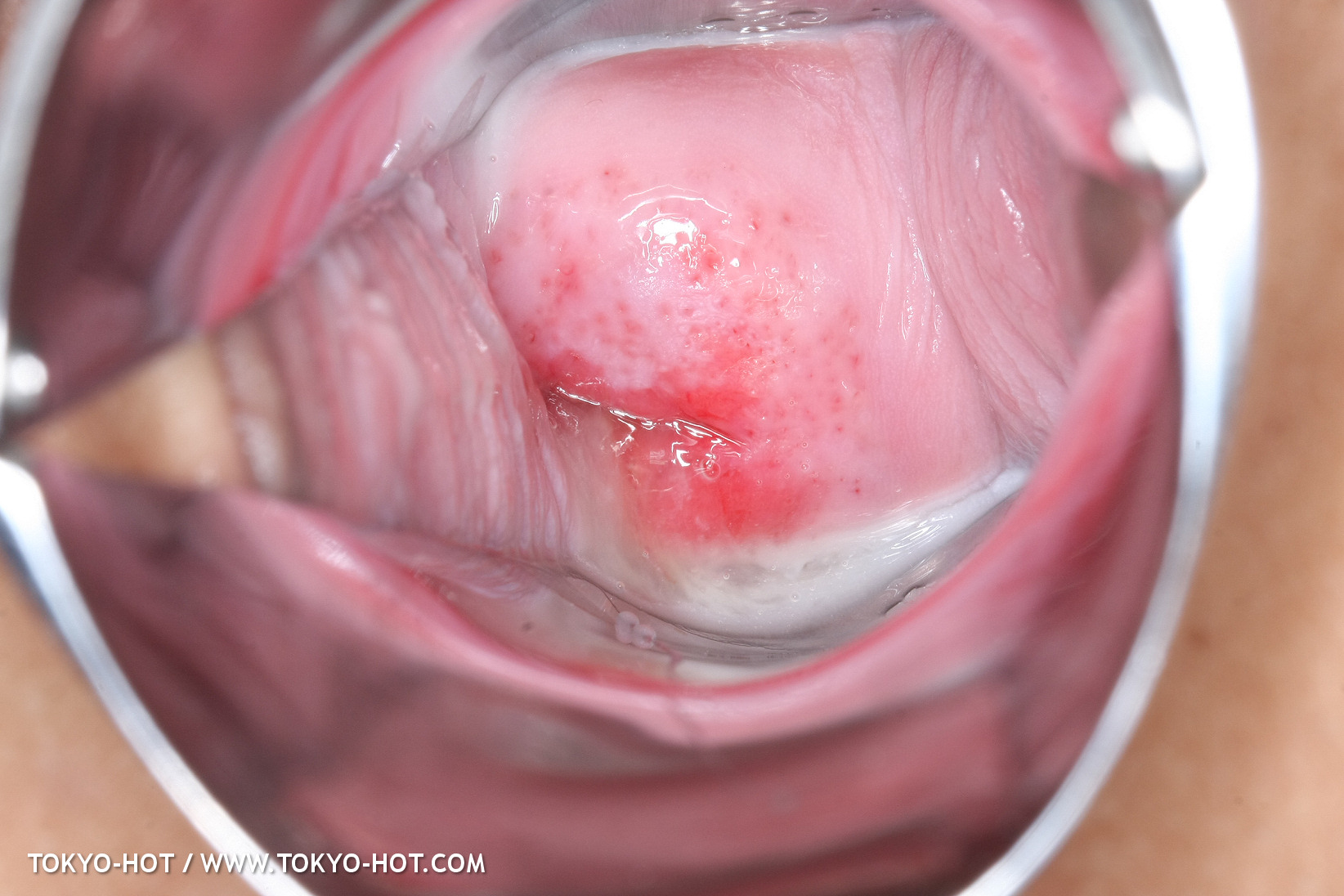 JPN_Tokyo_Hot_N1199_!shiho_h@r@d@