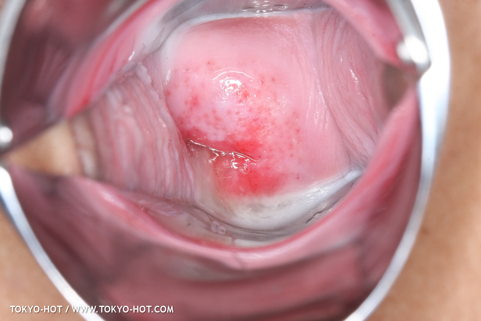 JPN_Tokyo_Hot_N1199_!shiho_h@r@d@