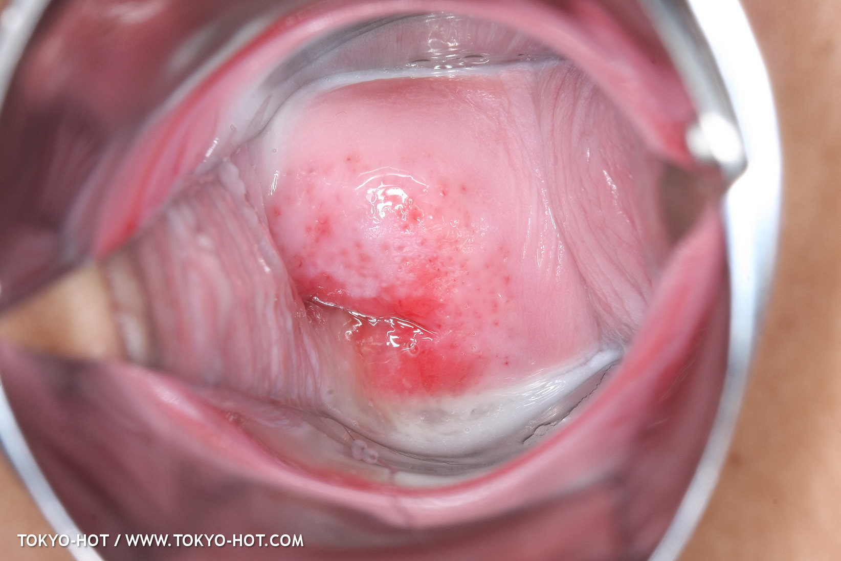 JPN_Tokyo_Hot_N1199_!shiho_h@r@d@