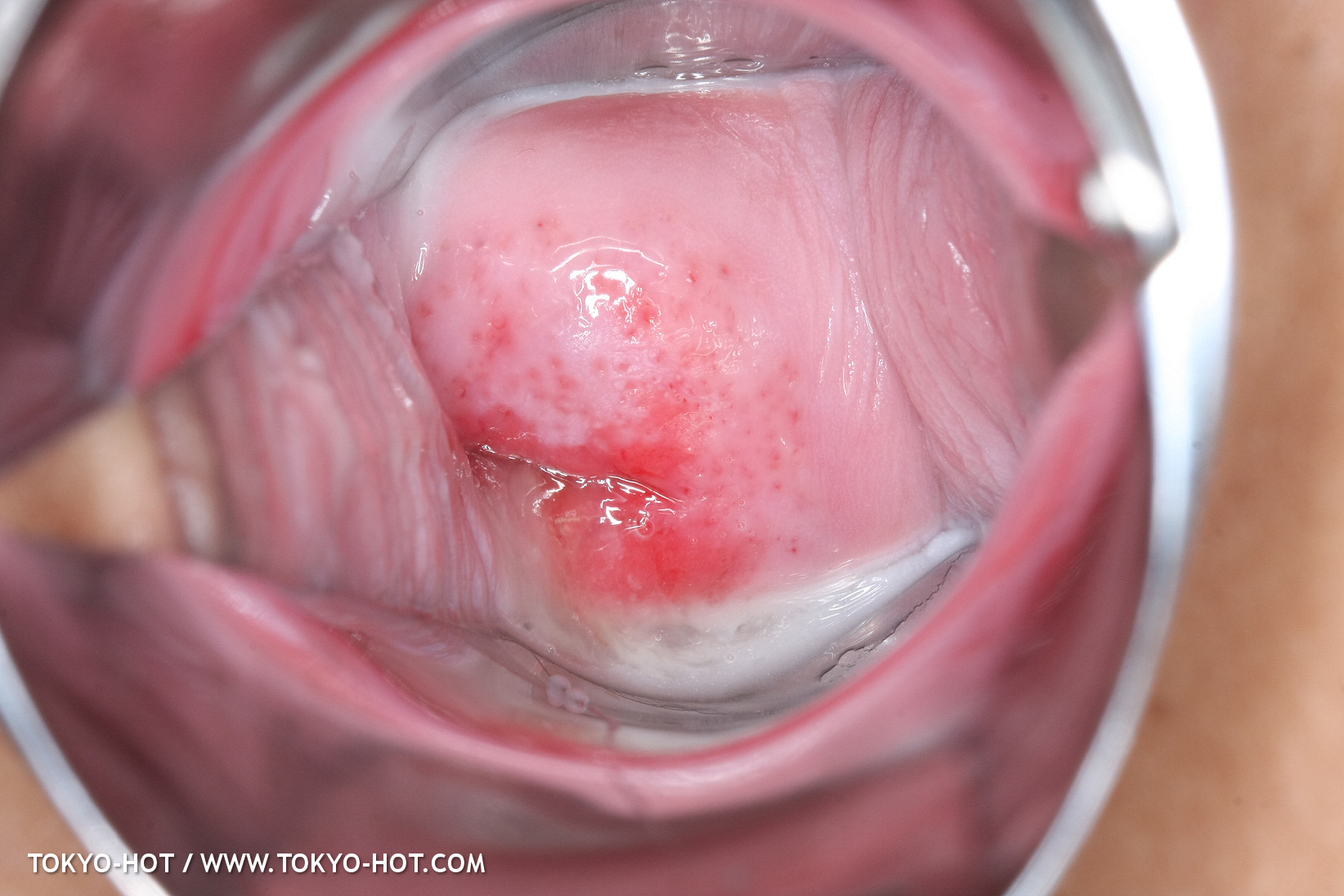 JPN_Tokyo_Hot_N1199_!shiho_h@r@d@