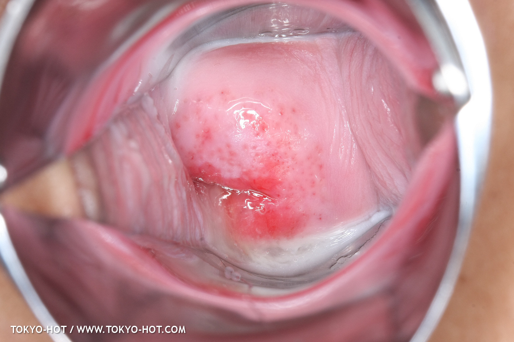 JPN_Tokyo_Hot_N1199_!shiho_h@r@d@