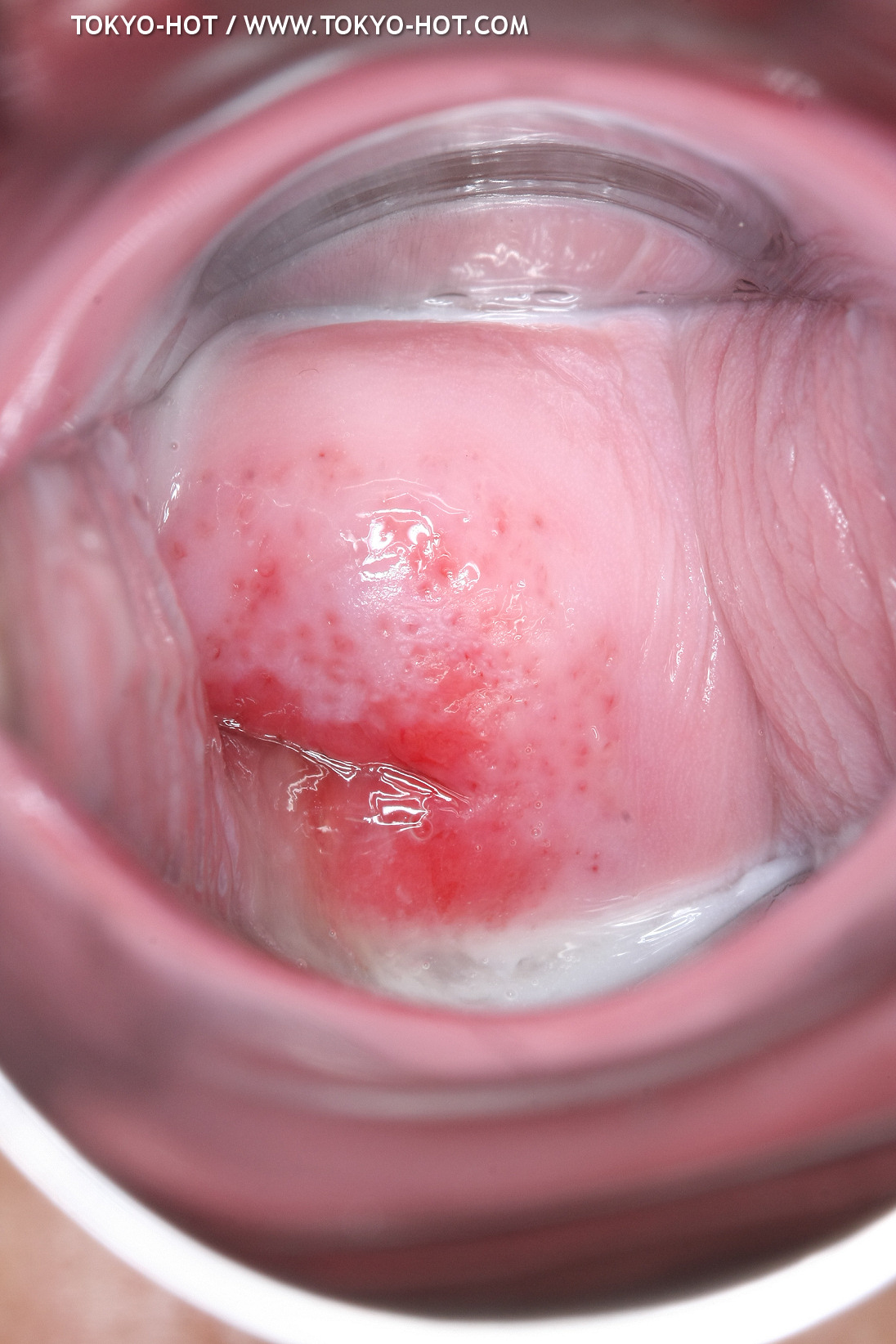 JPN_Tokyo_Hot_N1199_!shiho_h@r@d@