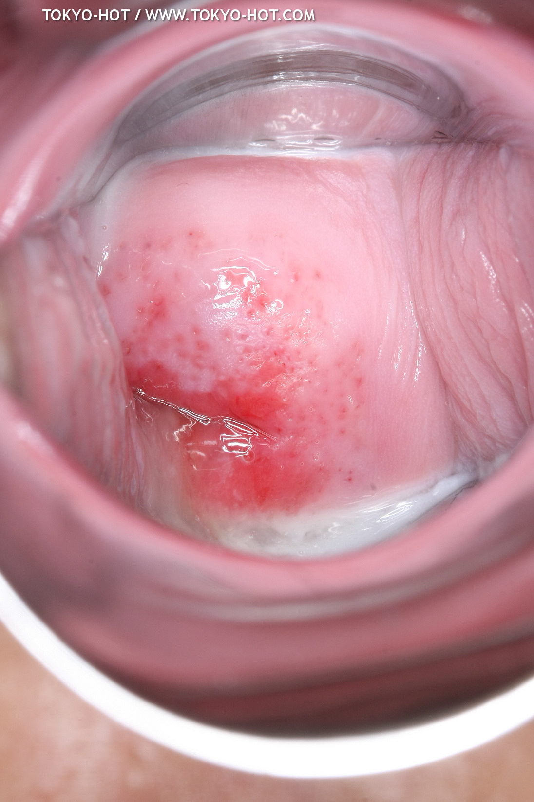 JPN_Tokyo_Hot_N1199_!shiho_h@r@d@