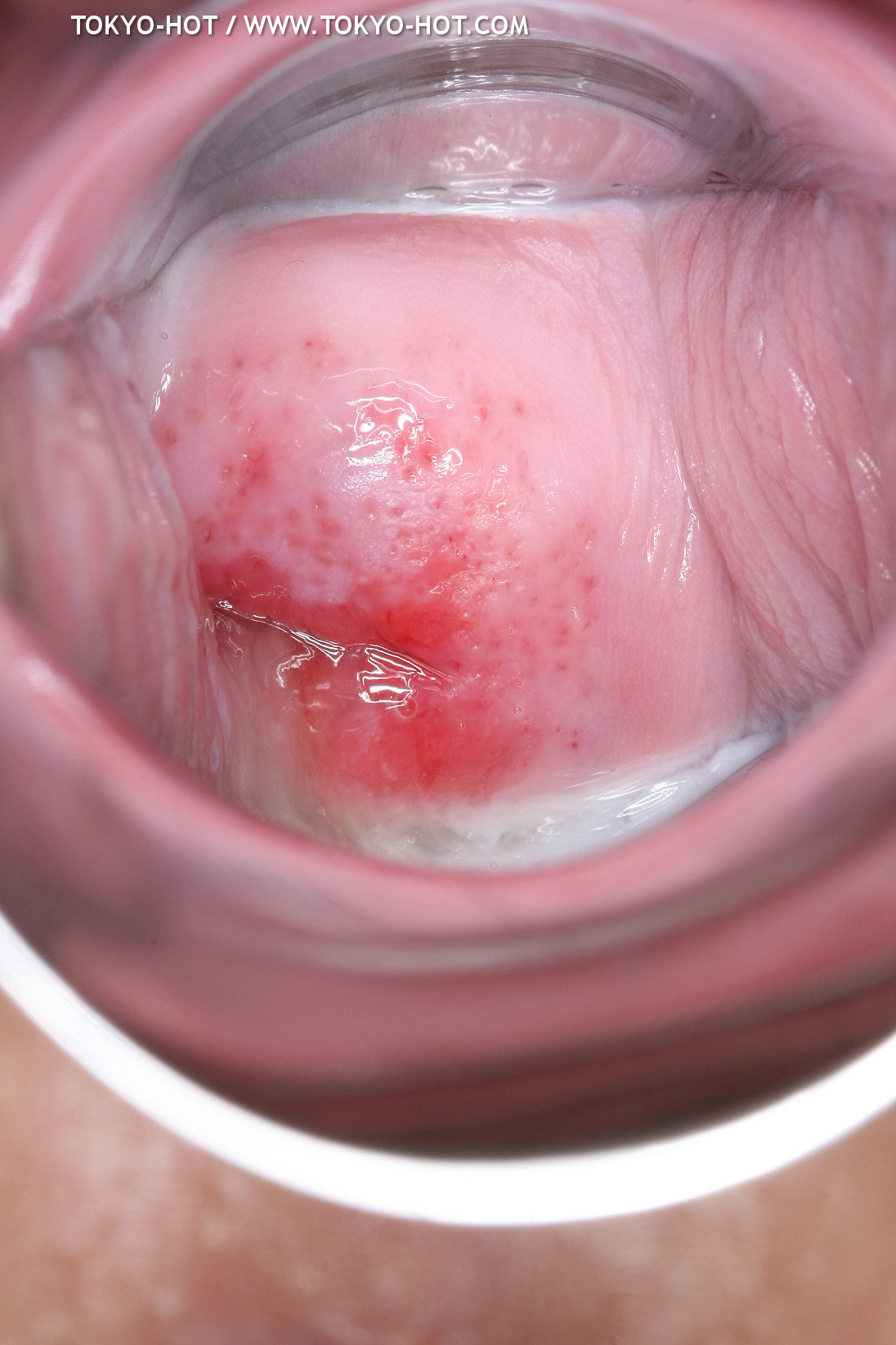 JPN_Tokyo_Hot_N1199_!shiho_h@r@d@