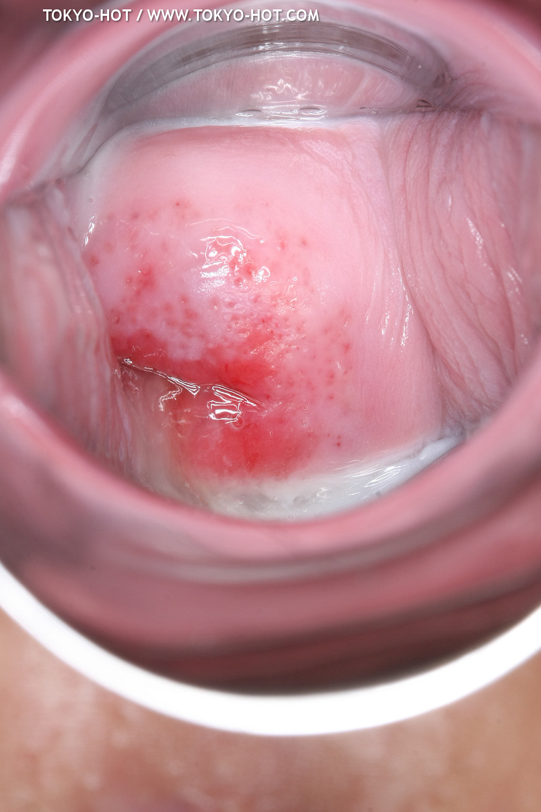 JPN_Tokyo_Hot_N1199_!shiho_h@r@d@