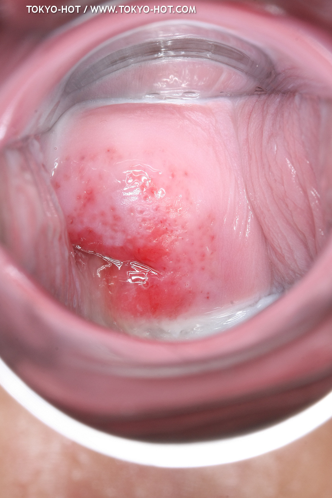 JPN_Tokyo_Hot_N1199_!shiho_h@r@d@