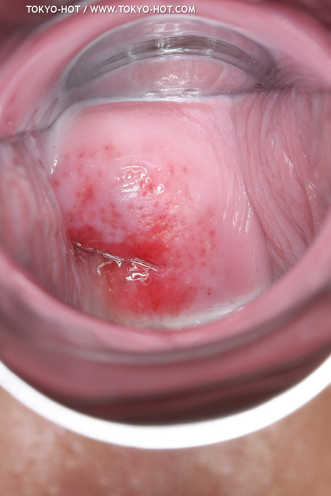 JPN_Tokyo_Hot_N1199_!shiho_h@r@d@