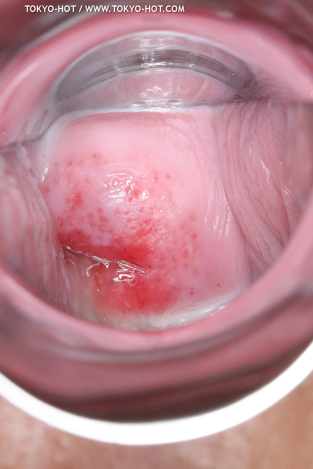 JPN_Tokyo_Hot_N1199_!shiho_h@r@d@