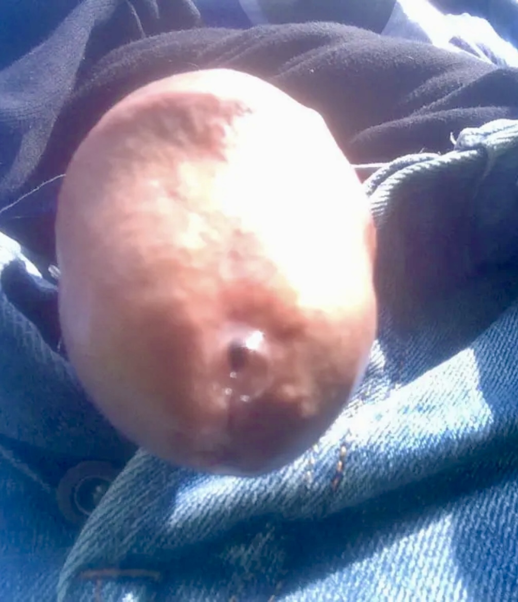 2018 My cock outdoors tried to get seen by somebody